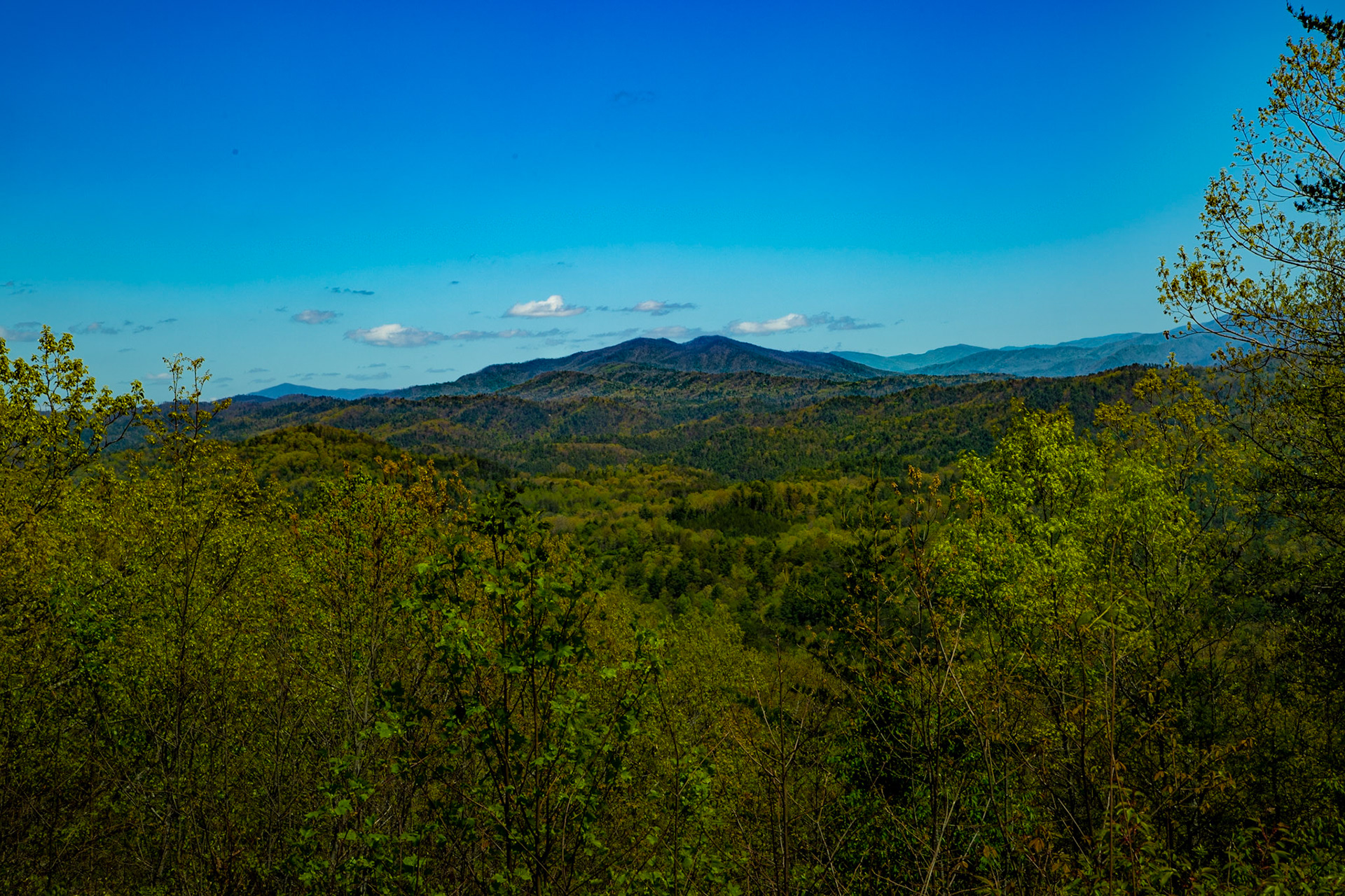 That might be Mt LaCont