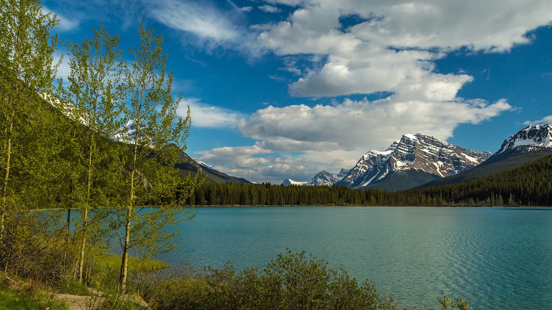 The Icefield Parkway hugs the shore of Waterfowl Lake.  The water color was beautiful, with greenery and mountains to make a wonderful stop. It was 6:45 PM and we had a long way to go for our night south of Radium Hot Springs, but this was worth a little time.