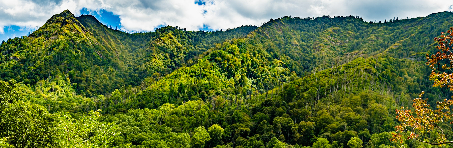 Late Summer Chimney Tops Overlook, September 1, 2022