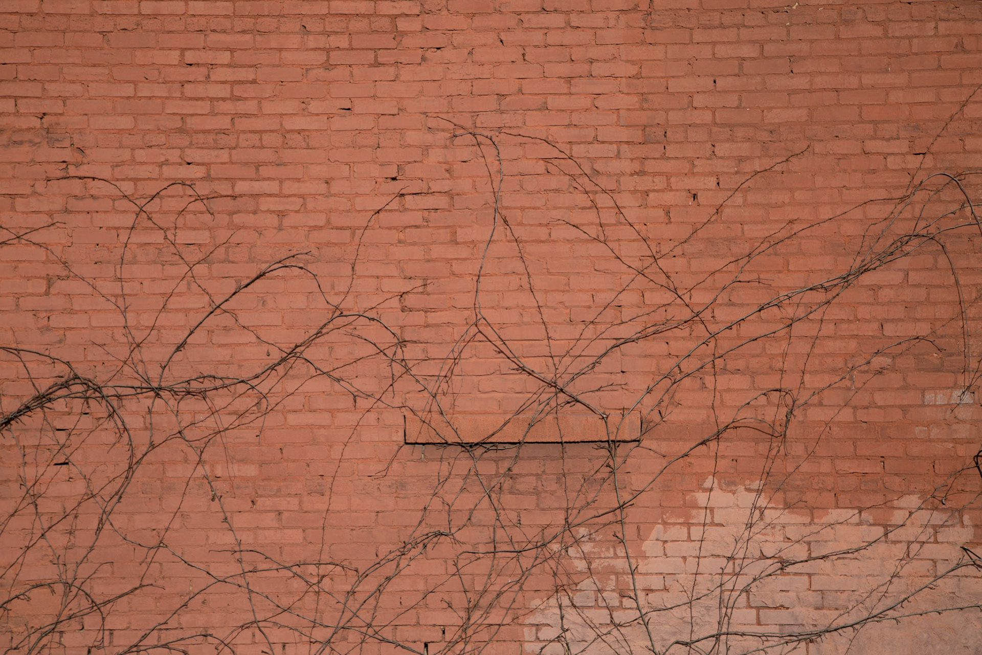 On Sunday, I finally made a trip to walk the main street of Harriman. Several years ago, I noticed the classic buildings. It seems this street could be used for a movie that needs such background material.