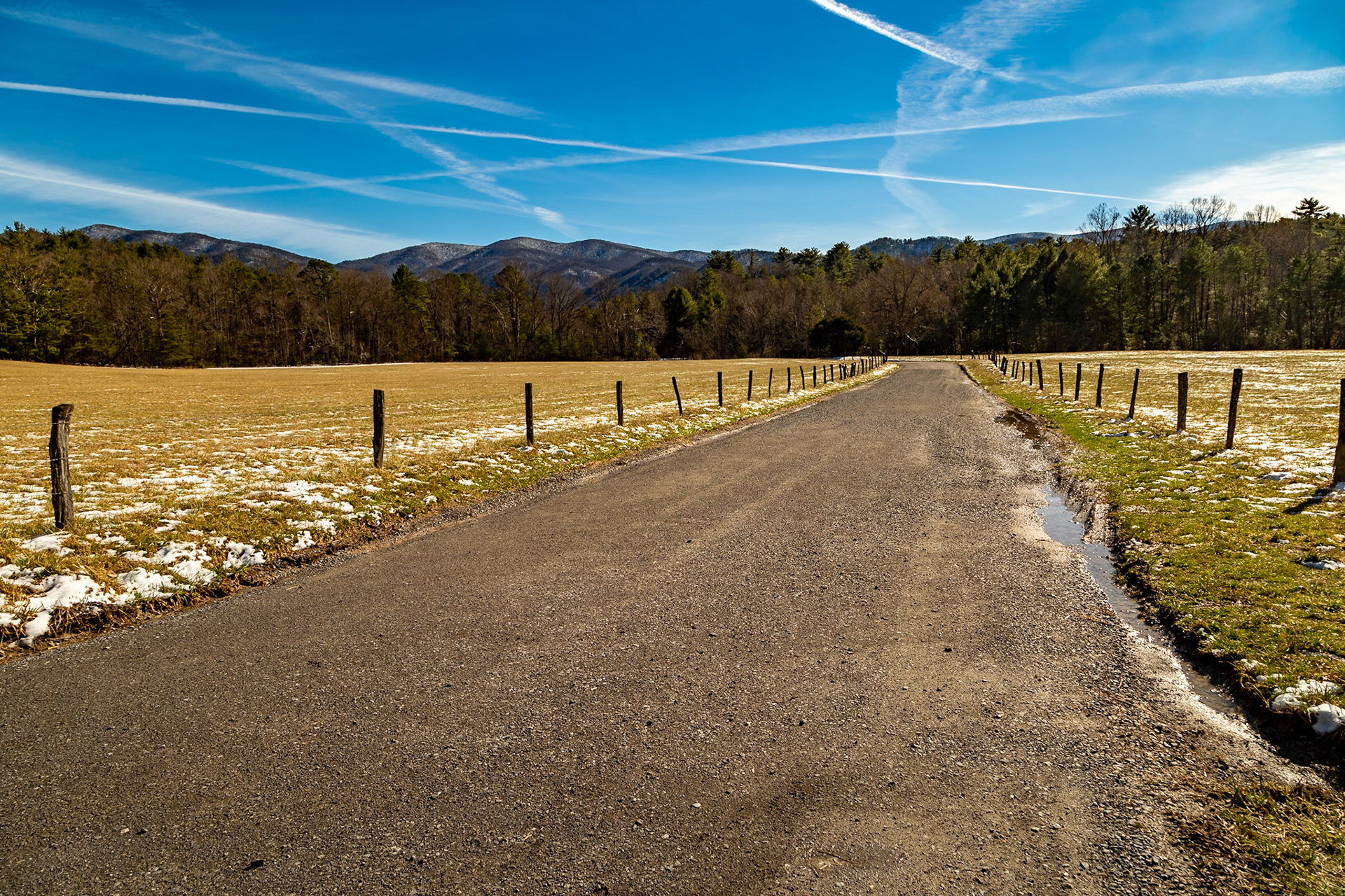 Parsons Branch Road, January 15, 2023