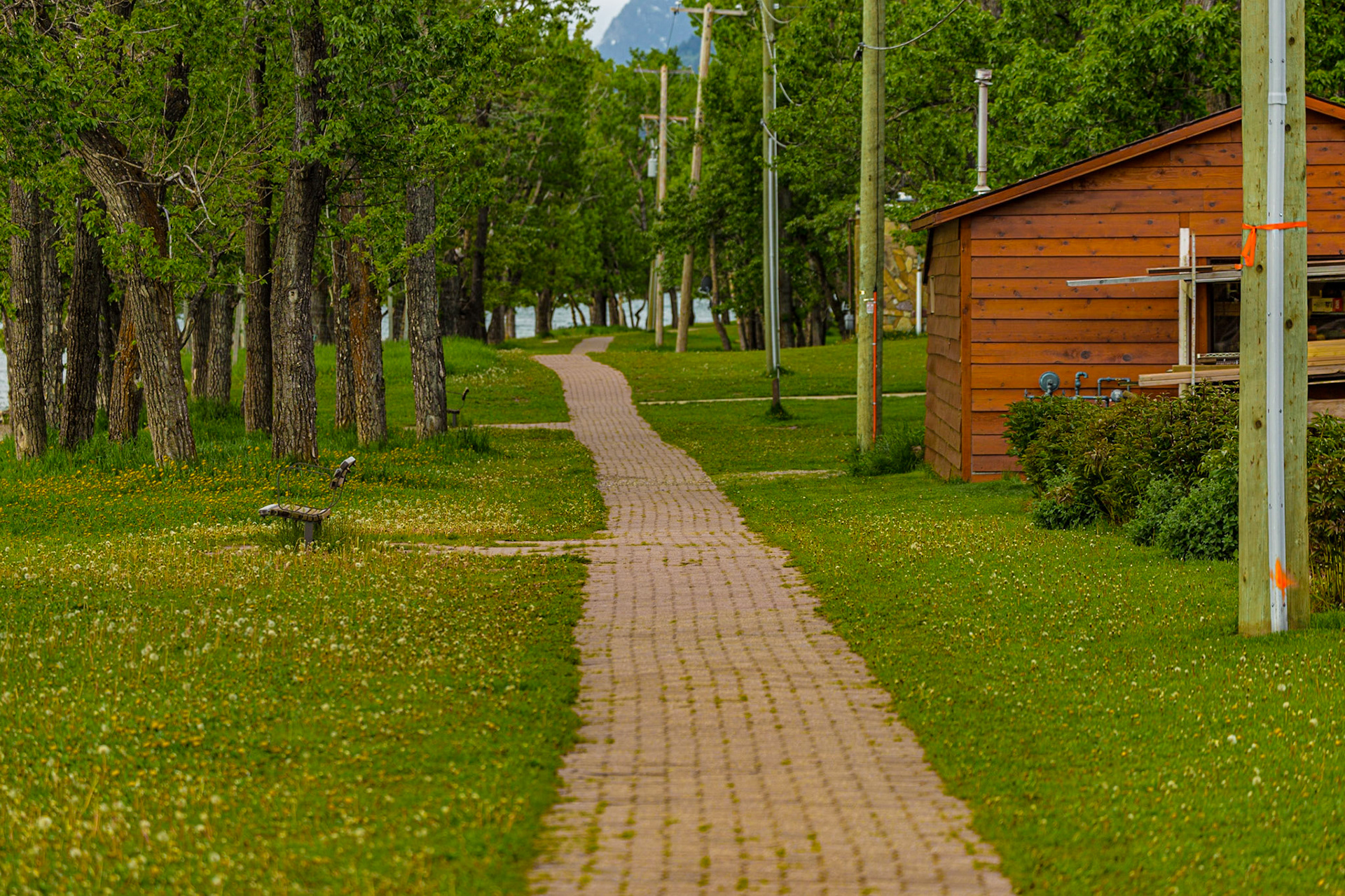 Walking from our hotel to breakfast, I got involved in finding a place to photograph the Prince of Wales Hotel, overlooking the town. Mark and I got separated for a while. The pictures of the hotel were not very satisfying. I did get two centerline shots. One was Waterton Avenue, near the place we were to eat. The other was a walking trail along the lake. When Mark and I found each other, a dud was giving him a line of bull about his personal life adventures. The couple I heard were highly improbable. It was funny. We were ready for breakfast.