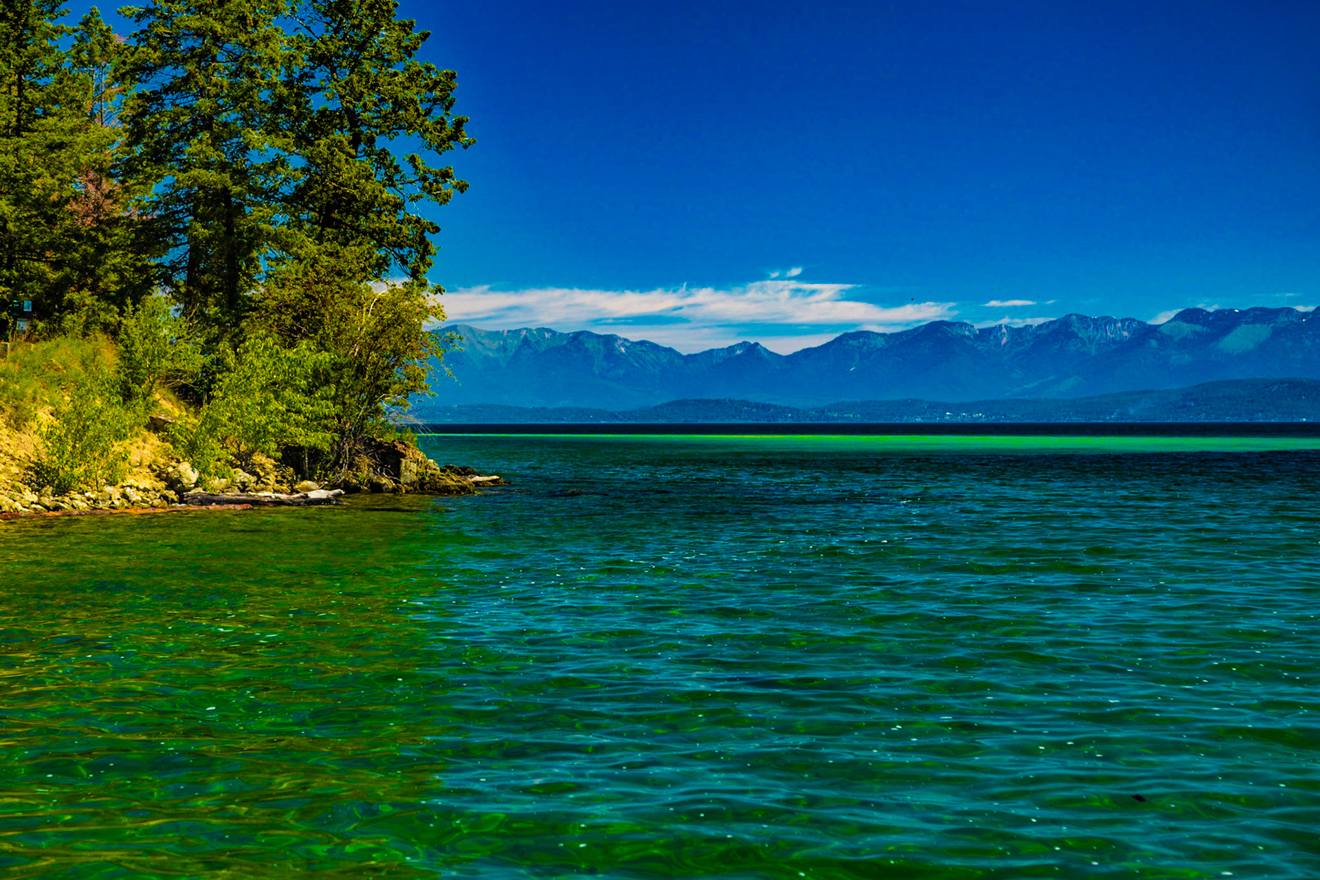 West Shore / Flathead State Park