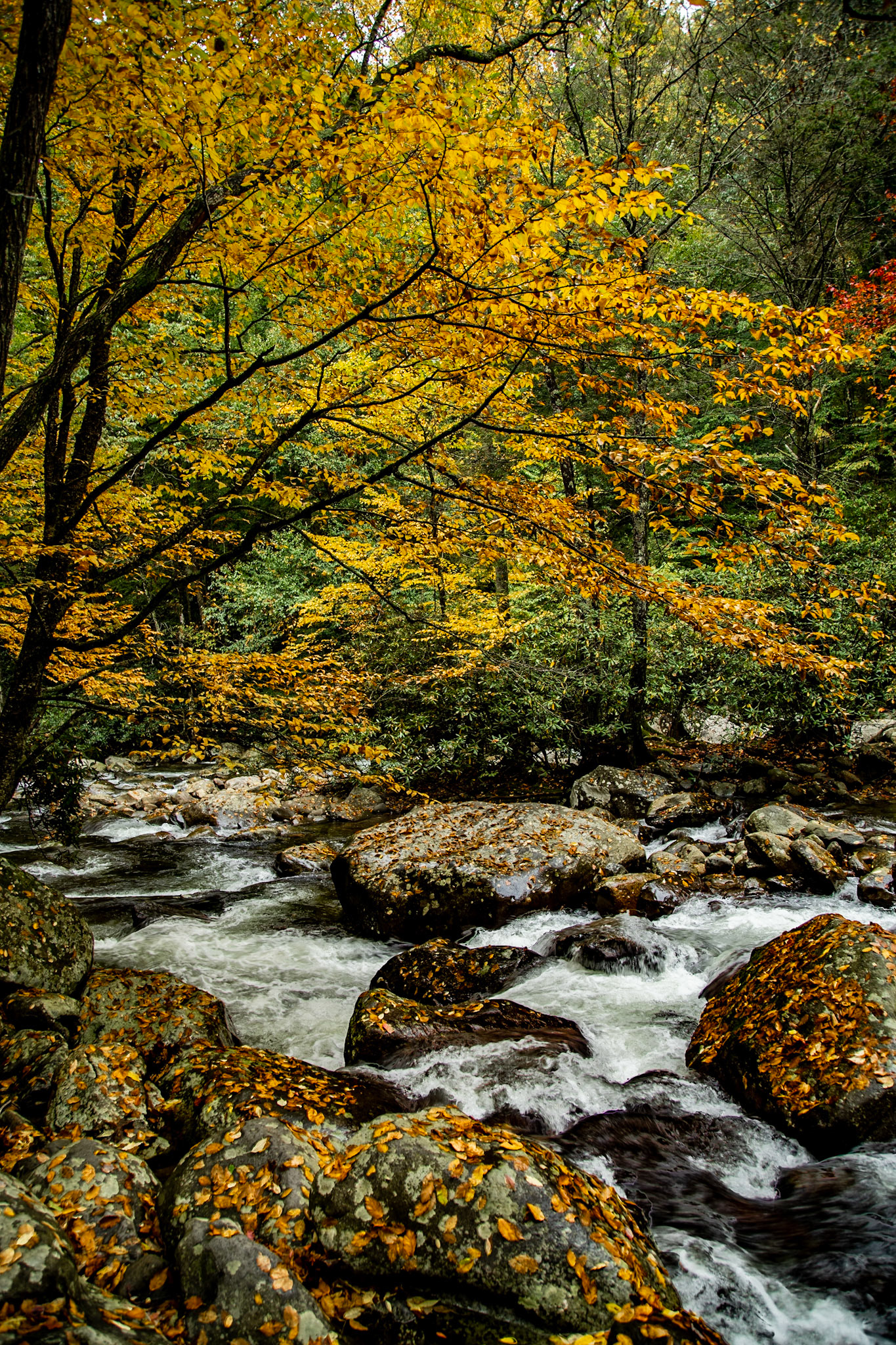 Chimneys Picnic Area