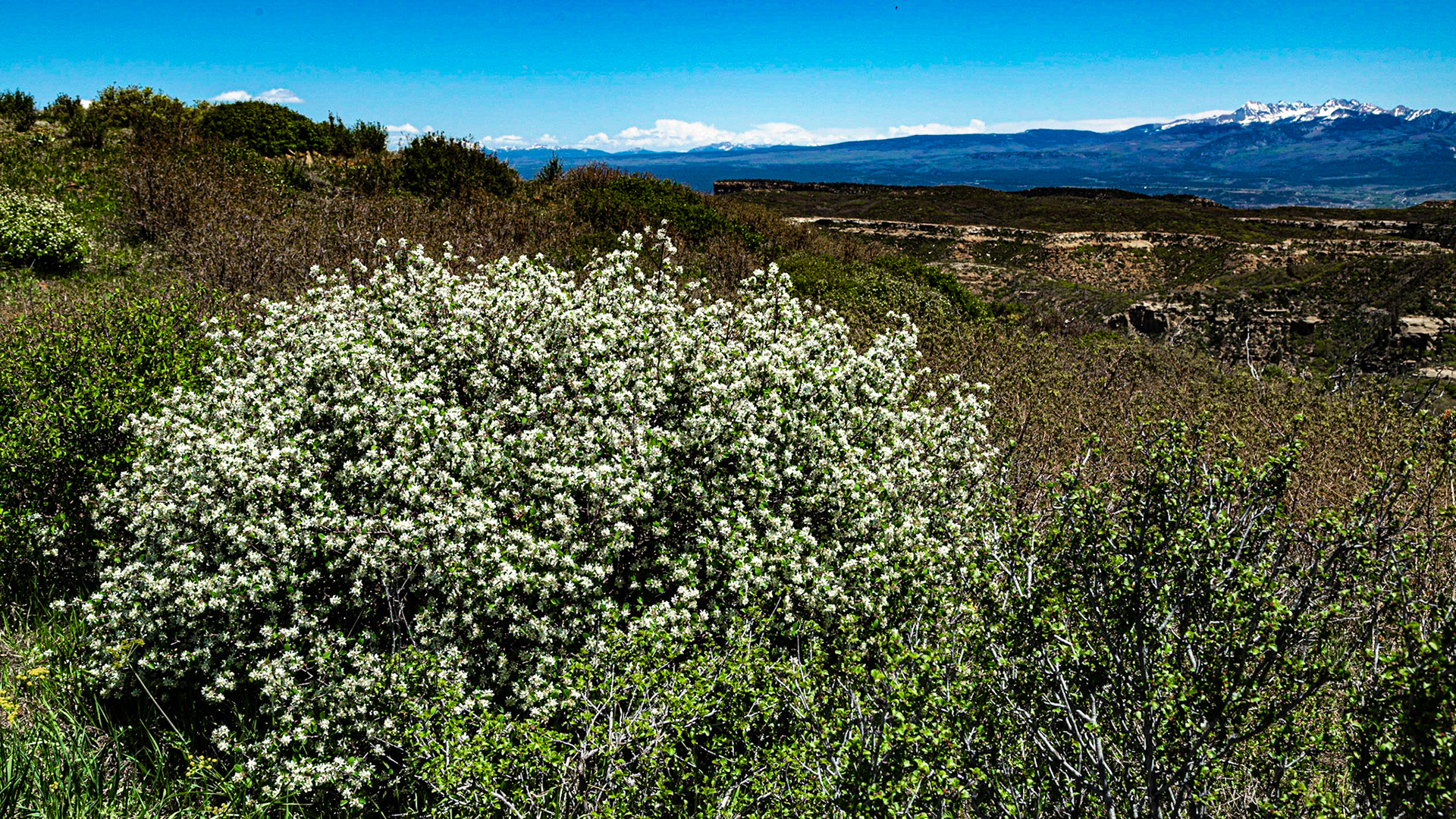Montezuma Valley Overlook, Mesa Verde National Park