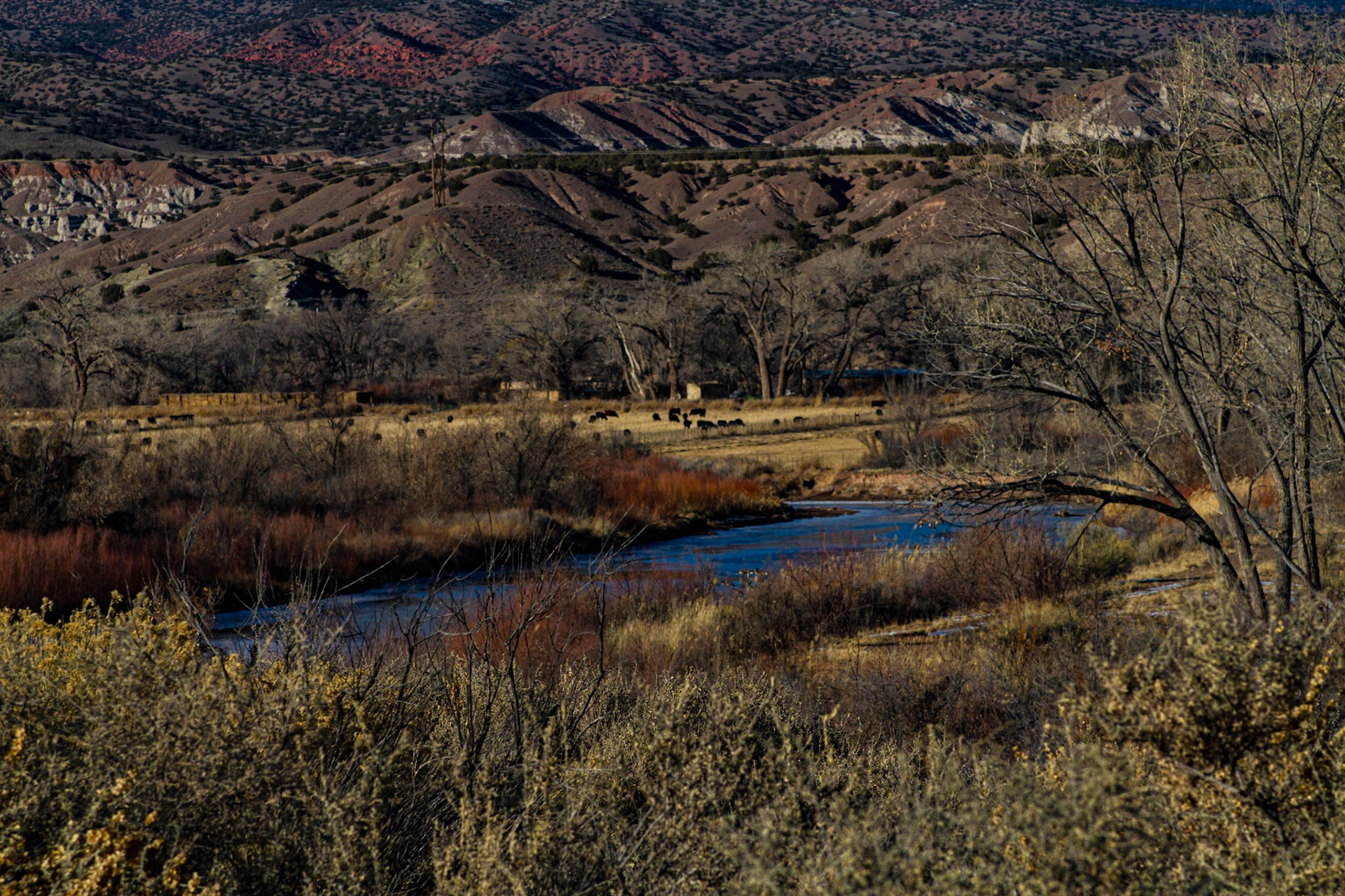 Our first stop on our first morning in Santa Fe was the Georgia O'Keeffe Museum, where the tour and short films gave us a deeper understanding of her contribution to art.  The time in the museum inspired our drive to Abiquiu that afternoon.  Later, we went on to Ghost Ranch, where O'Keeffe stayed before she acquired and essentially rebuilt her home at Abiquiu.
