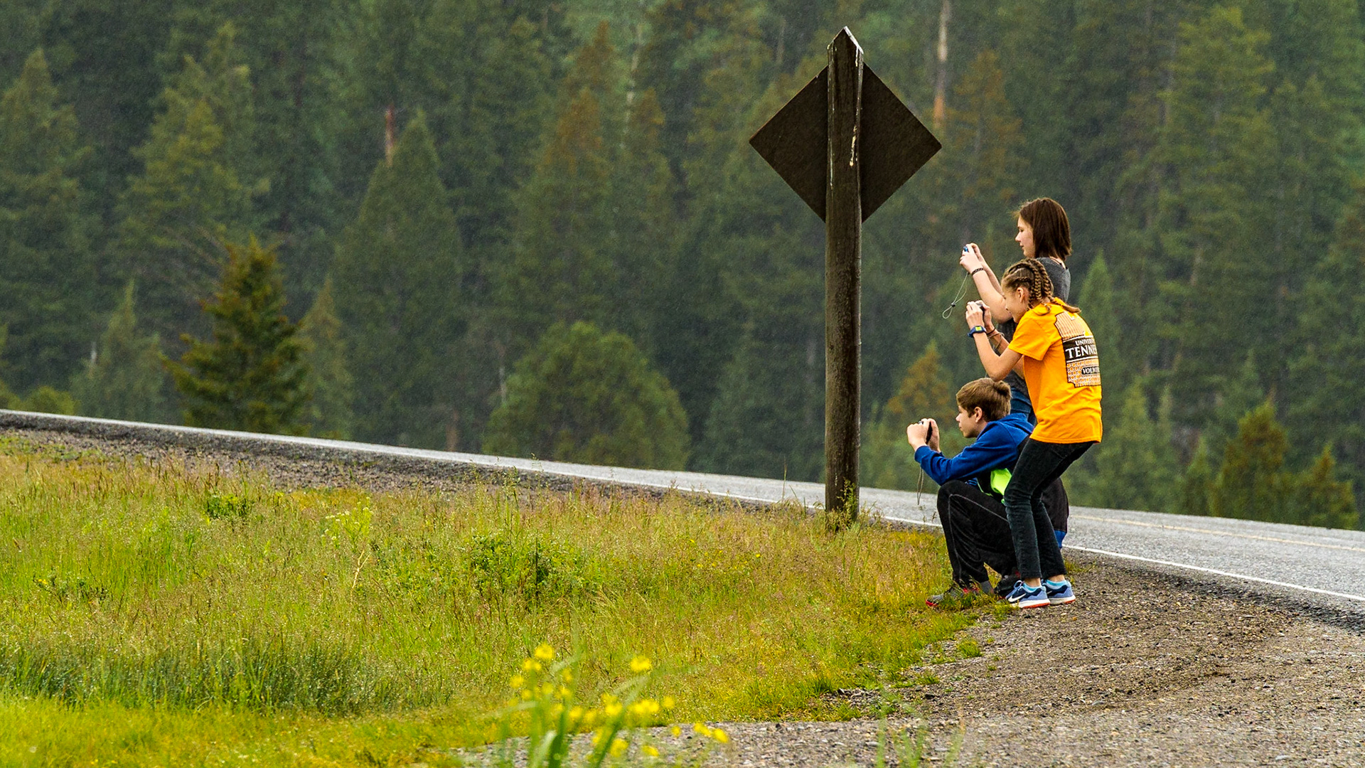 Lamar Valley Day in Yellowstone National Park