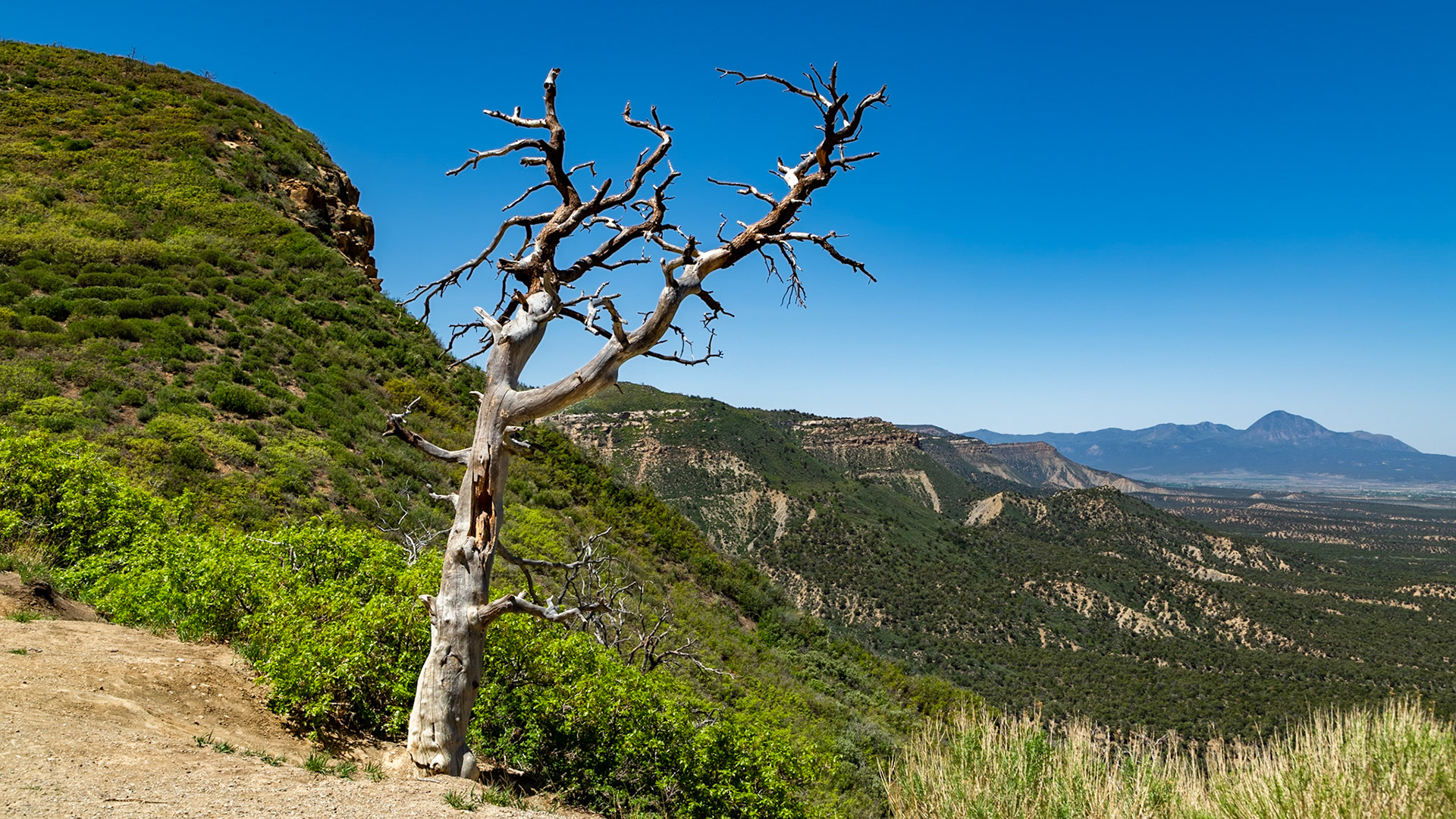 Montezuma Valley Overlook, Mesa Verde National Park, May 16, 2021