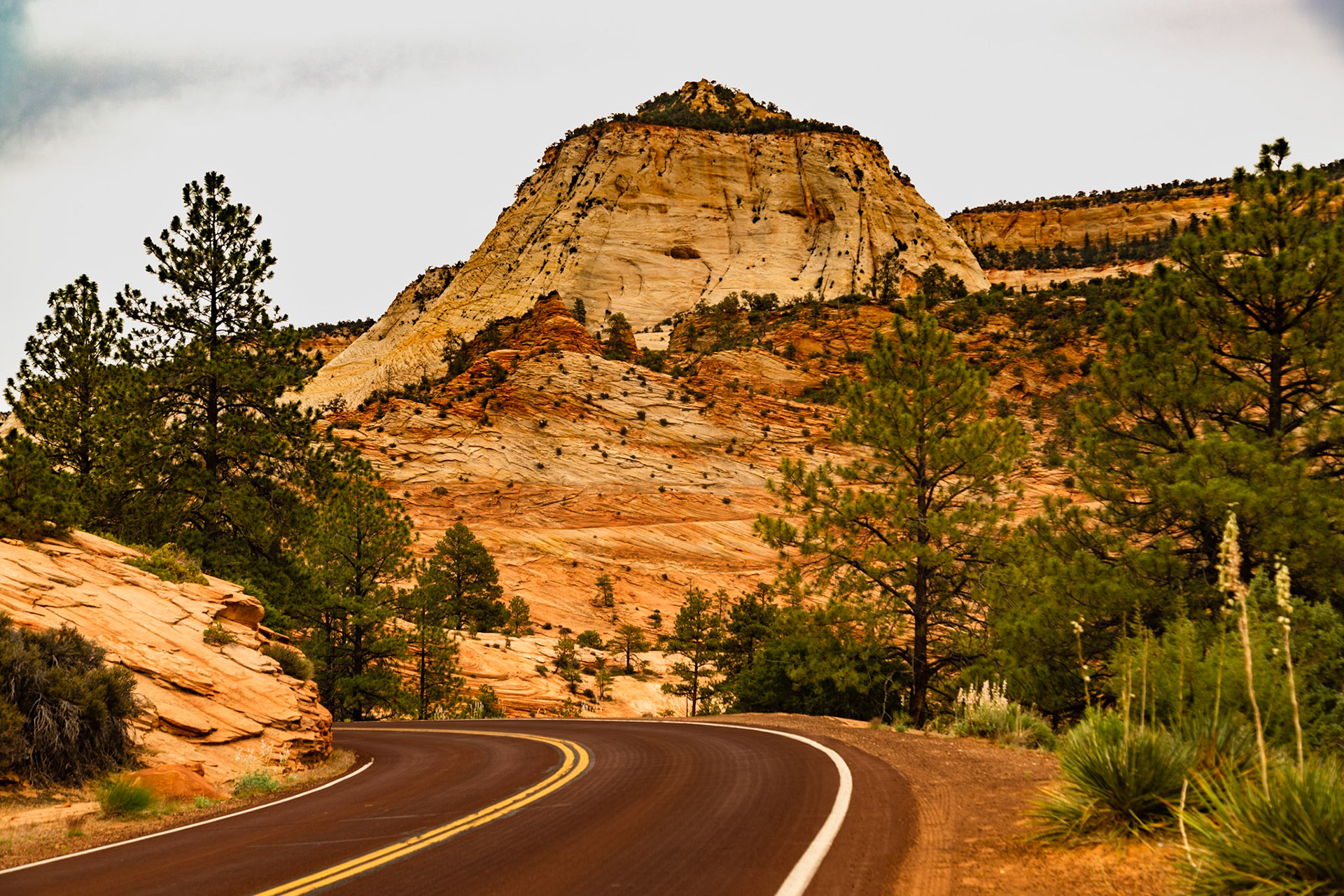 Zion National Park East Entrance Road