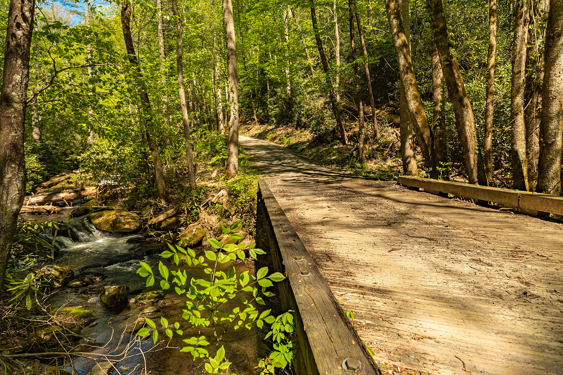 Parsons Branch Road and Parsons Branch, April 18, 2023