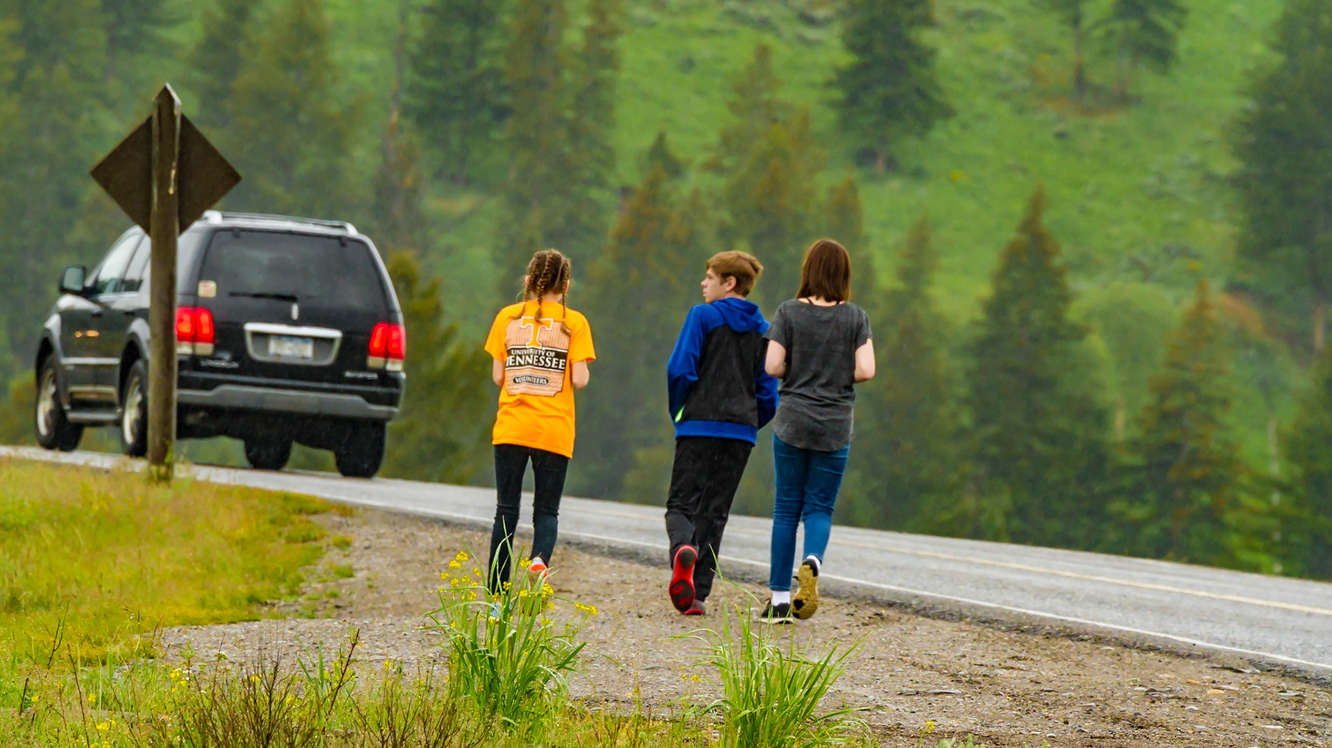 Lamar Valley Day in Yellowstone National Park