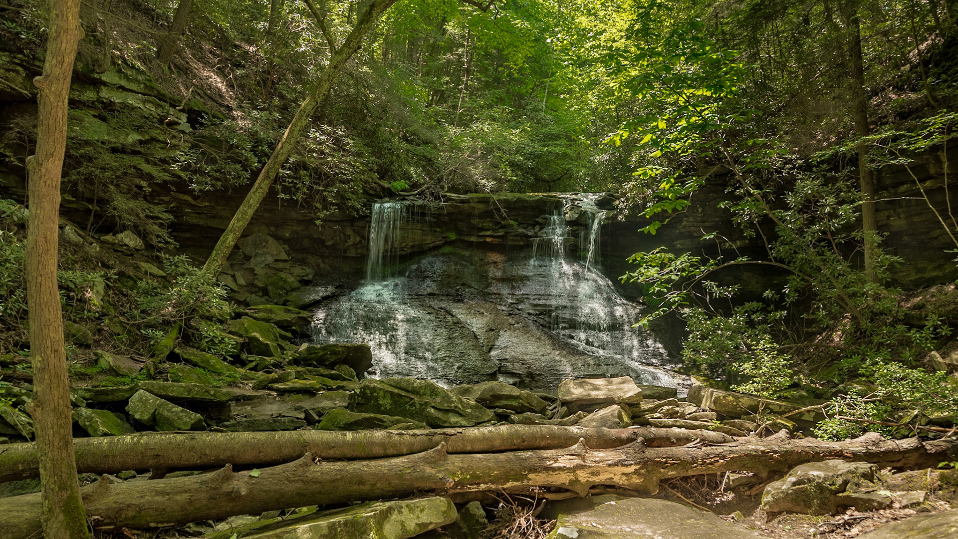 Melton Mill Branch Waterfall