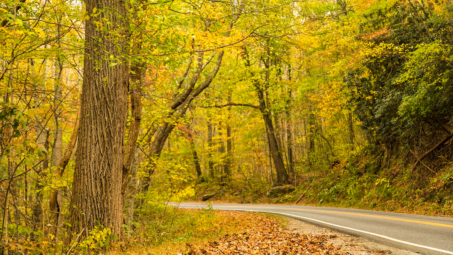 Returning home from NAPFA Fall Conference in Charlotte, NC