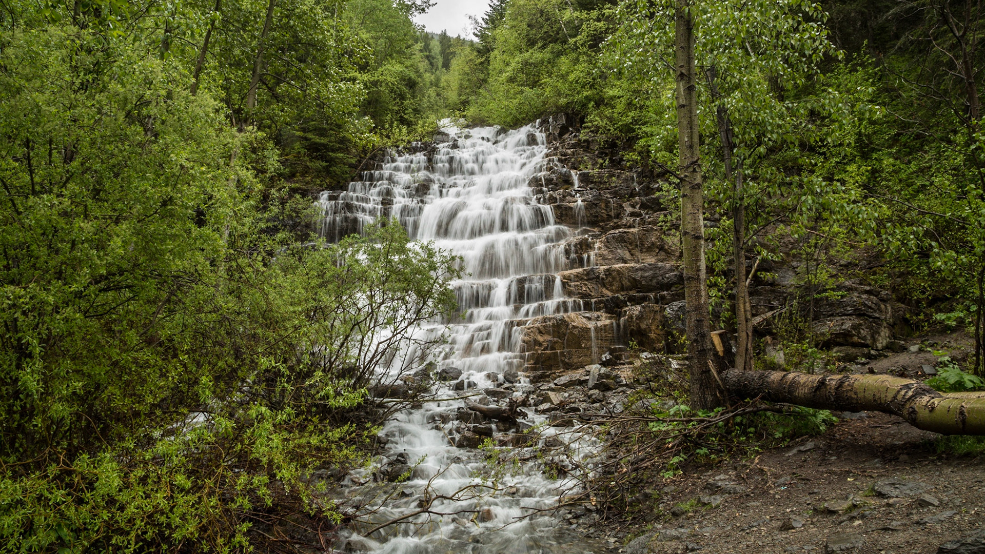It was just a waterfall, like many others we saw. The spring and summer snow melt was feeding them. This one was close to the road and several people were stopped there. A guy had a tent and table asking for petition signatures. He got Mark’s, by showing pictures of unintended trapped animals with injuries. I was loading our stuff back in the car at the time.