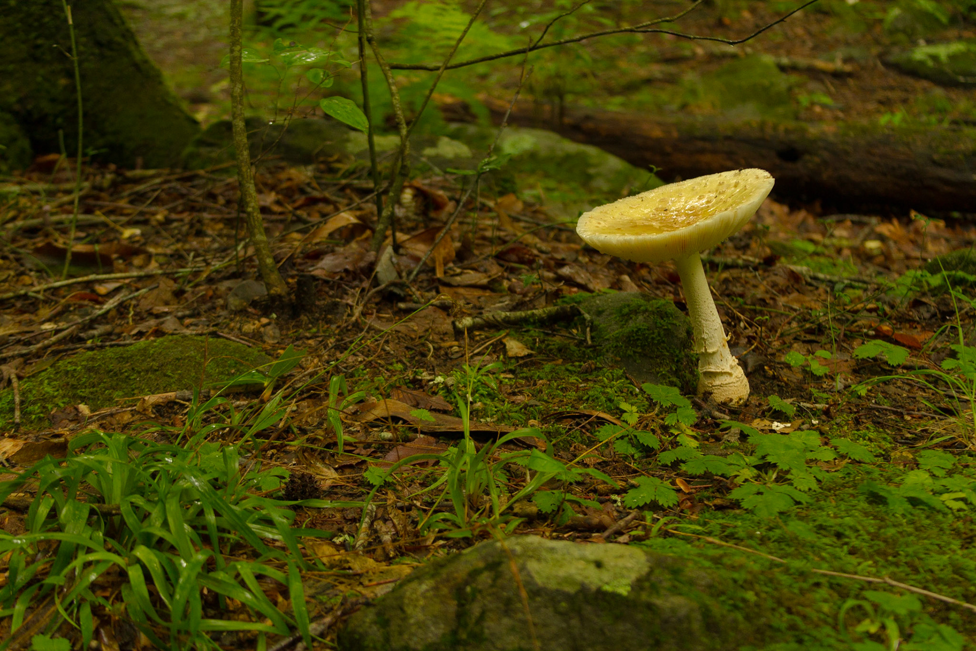 Independence Day Outting with Christie