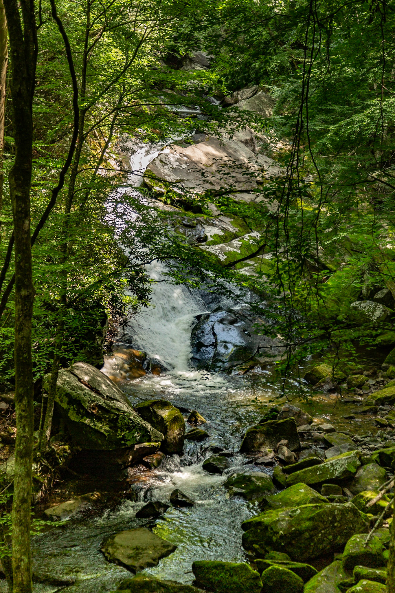 Cascade on Lynn Camp Prong