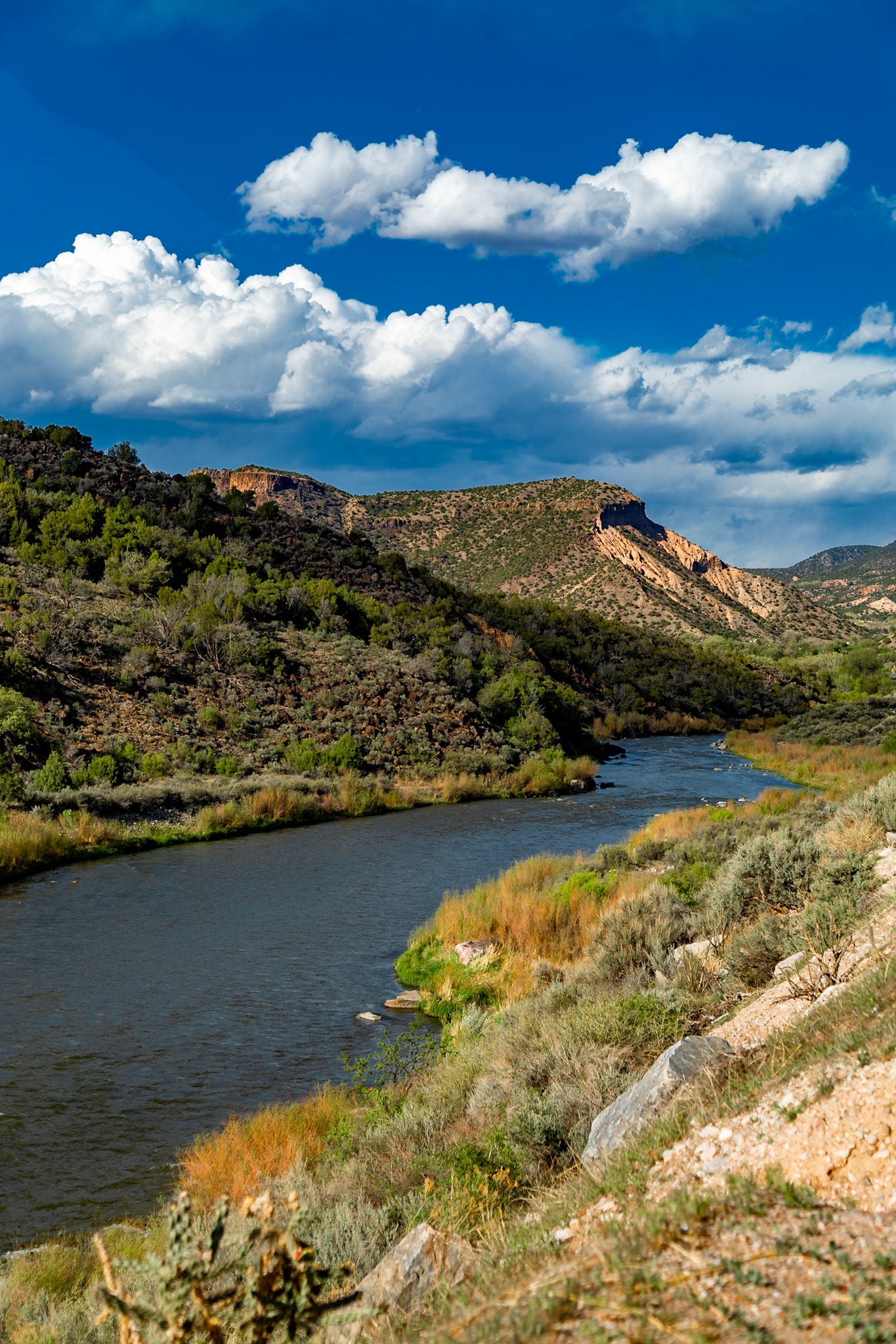 Rio Grande Gorge, Penasco, NM at Alberts Falls Rapids, May 13, 2021 - The water level here, near Taos, New Mexico was roughly the same as I saw at Big Bend National Park a few years ago. I was recently told that very little of the water we saw here will make it to the Mexican border and Texas, due to irrigation and other uses. According to my source, most of the Rio Grande water at Big Bend comes from Mexico