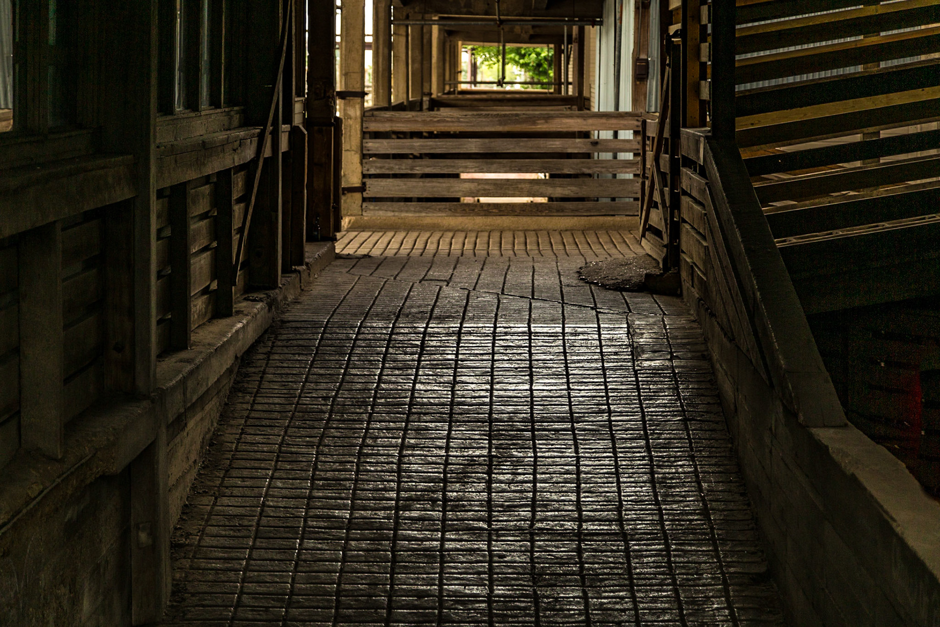Fort Worth Stock Yard, May 5, 2014