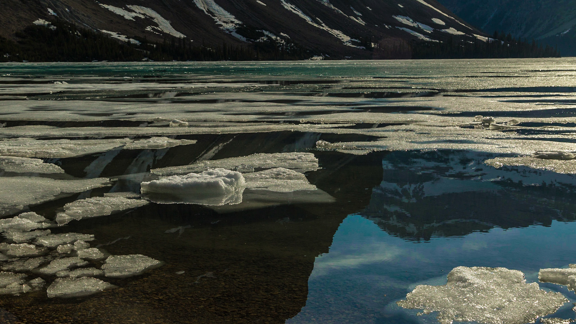 What else can I say?