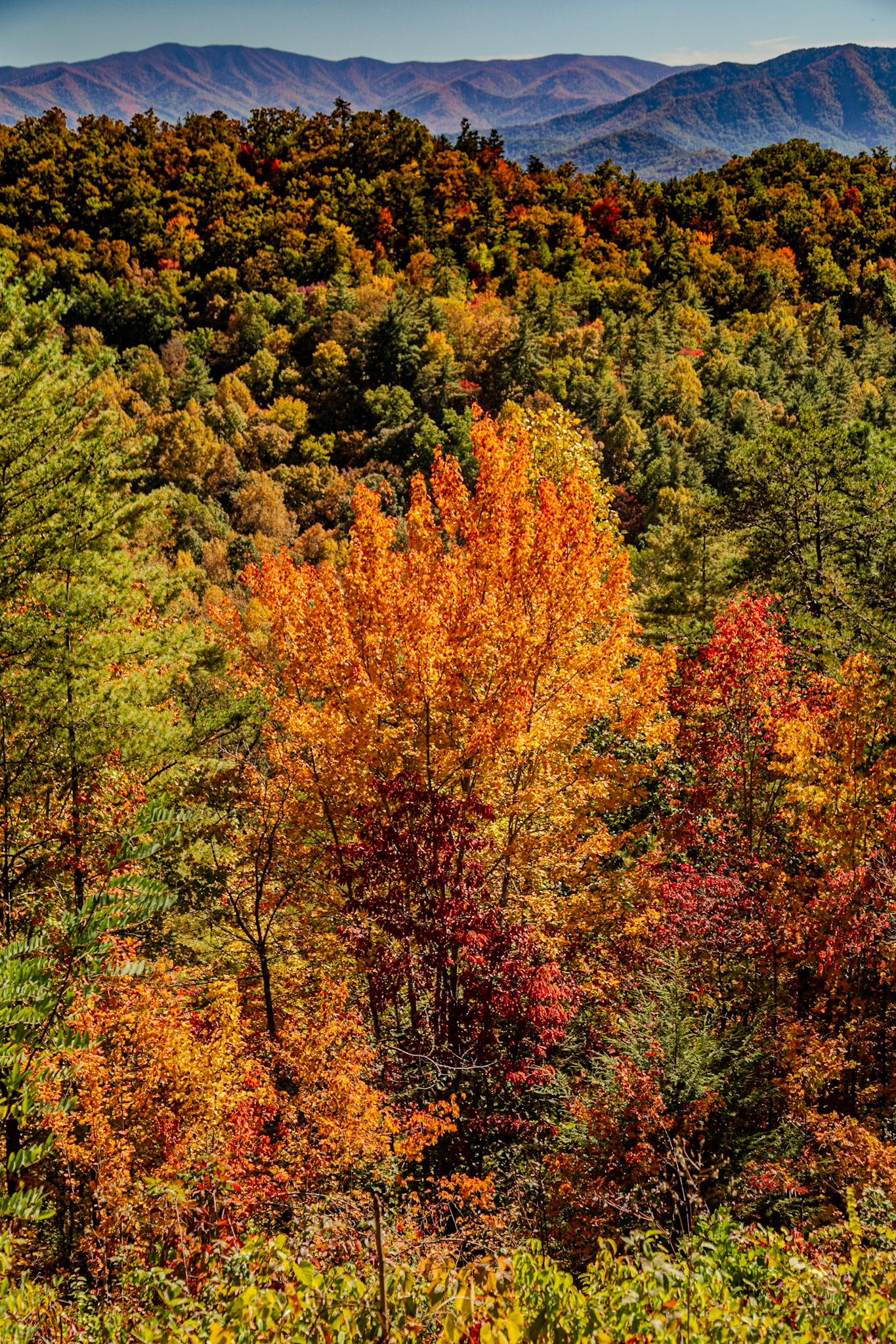 Foothills Parkway, October 22, 2023