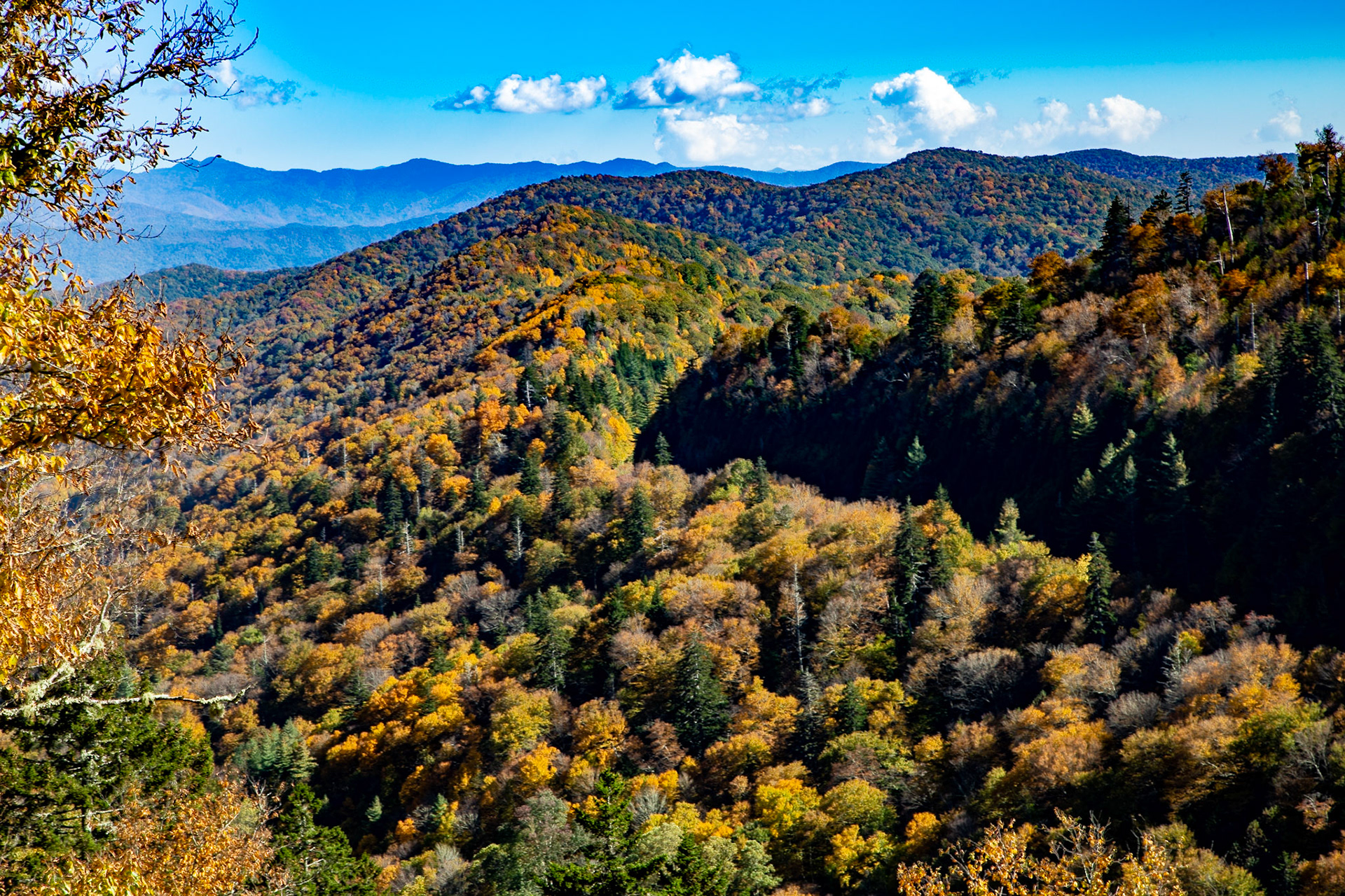 Clingmans Dome Road, 1st Overlook