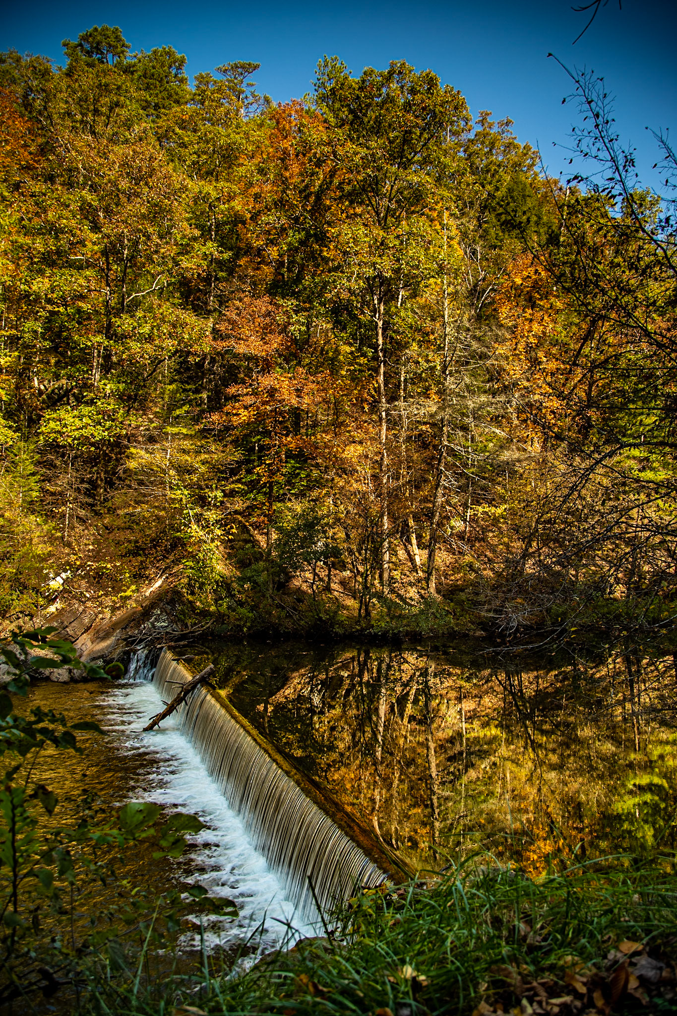 My son and I took a trip up Citico Creek that we have talked about for some time.  It turned out to be a great day for the adventure.
