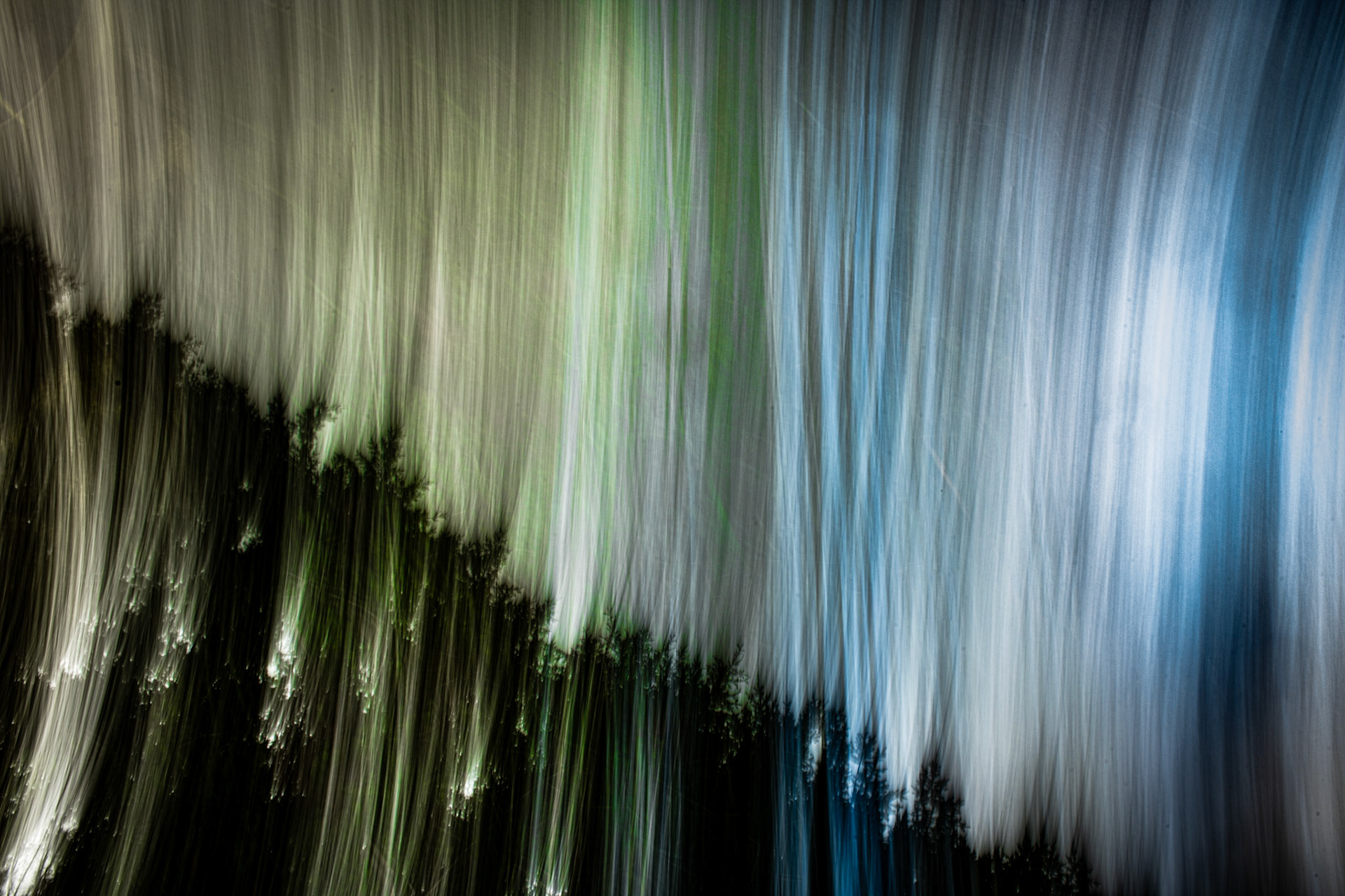 the sky from the tress