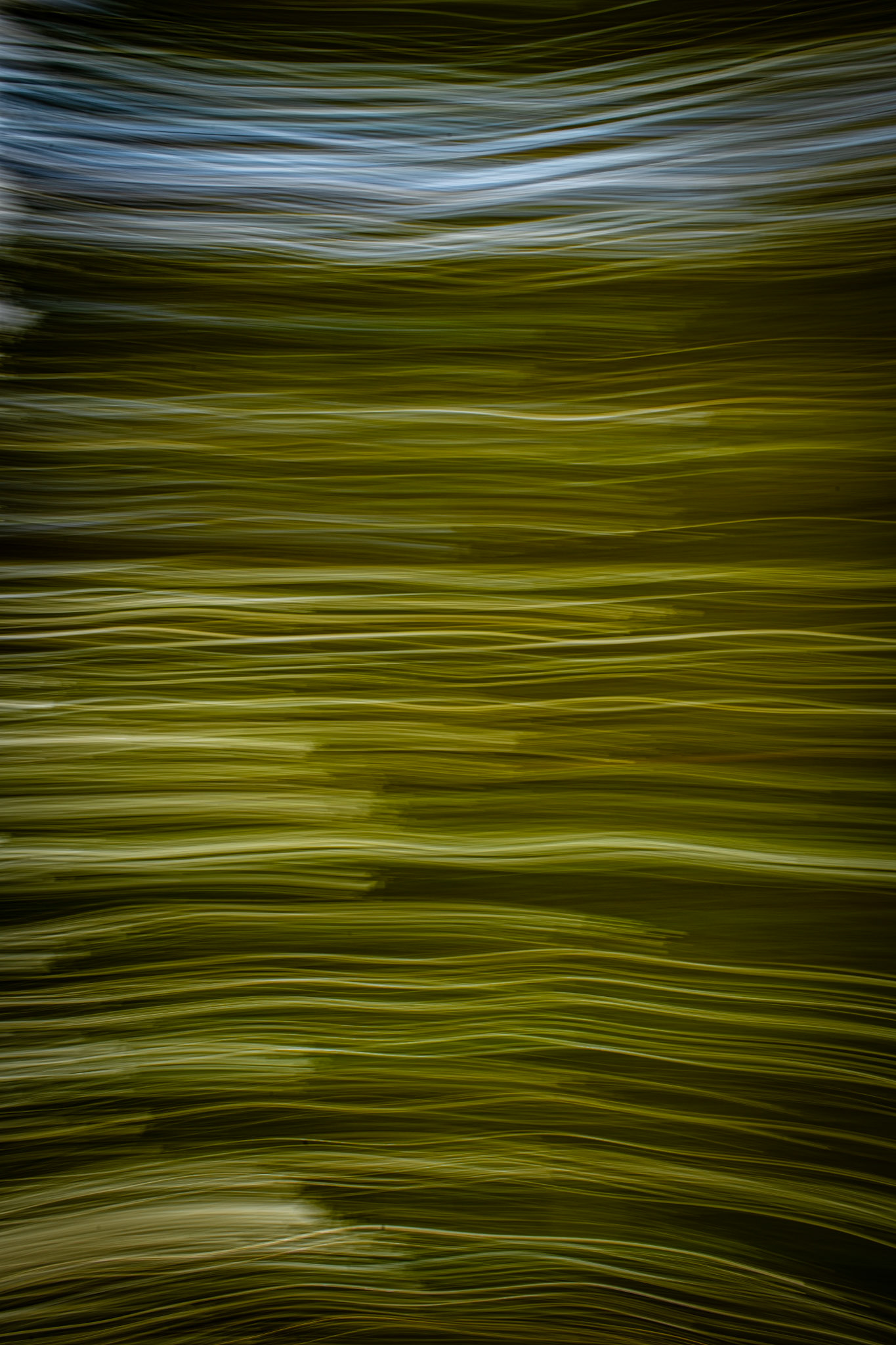 Through the Trees #2