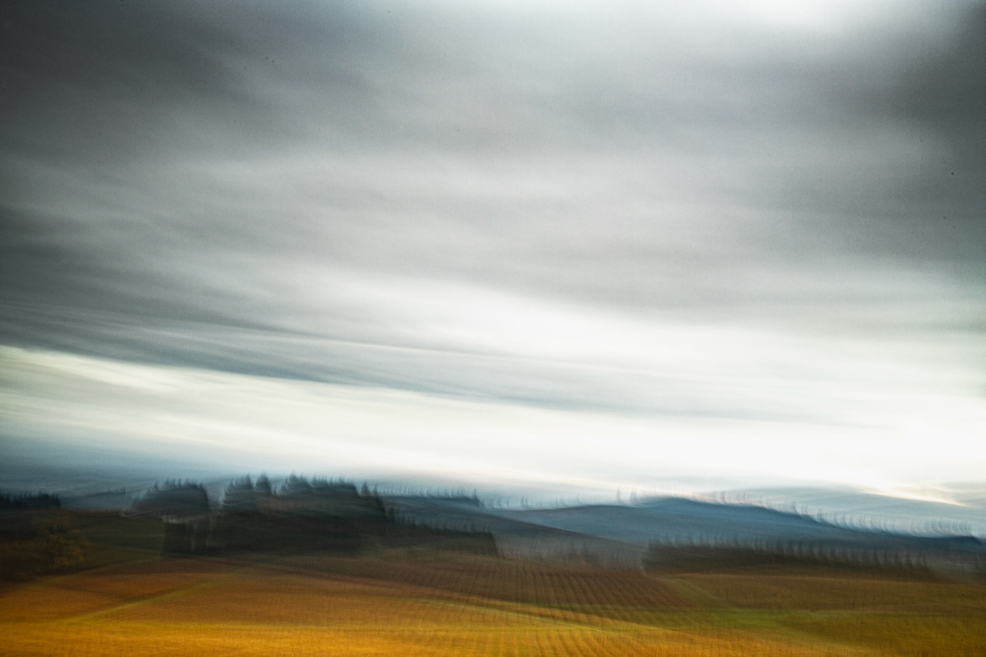 Black Walnut Autumn Sky