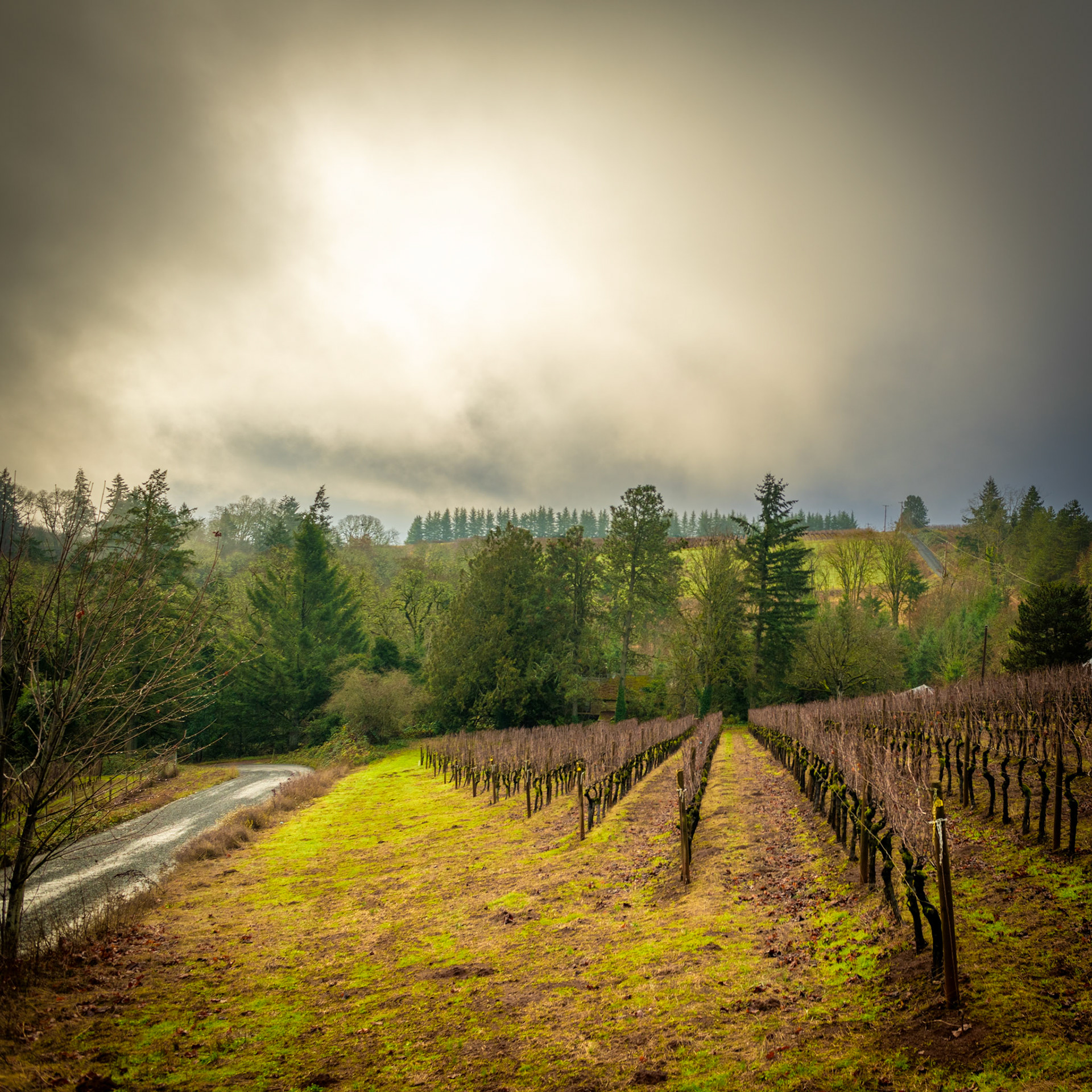 The High Road and You