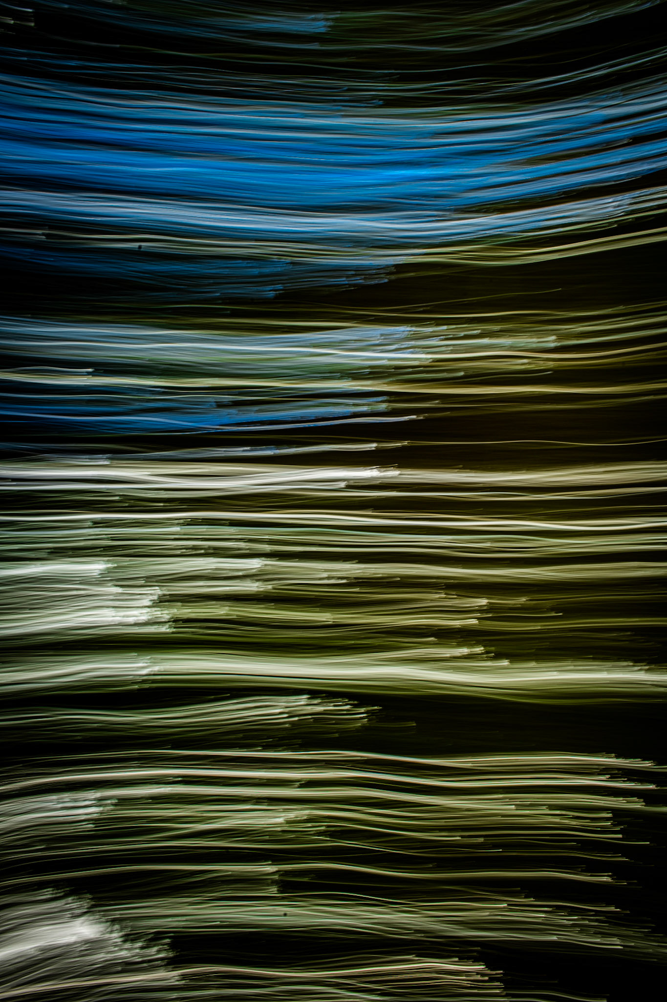 Through the Trees #4