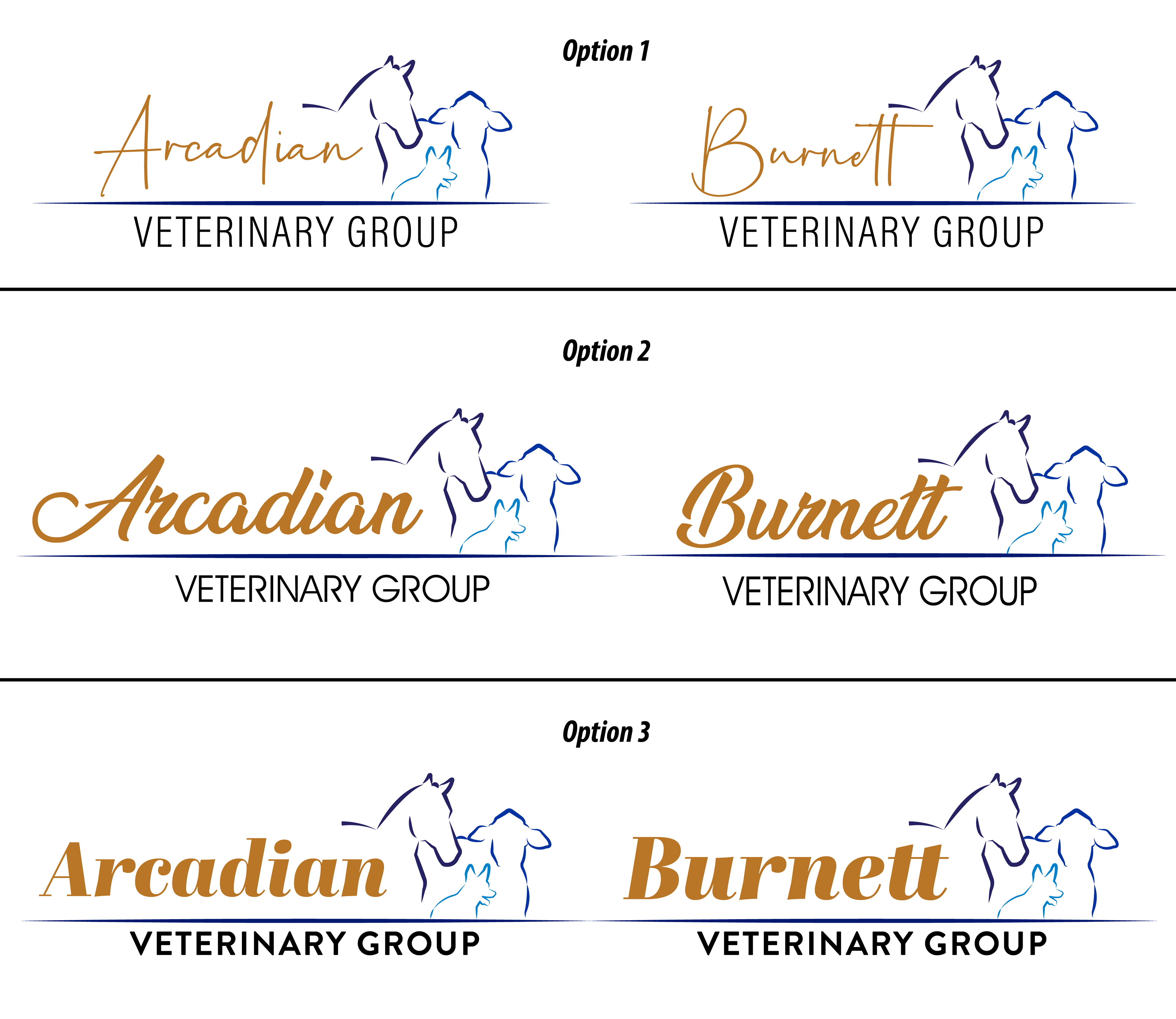 Client liked Concept 1, wanted to try different fonts.