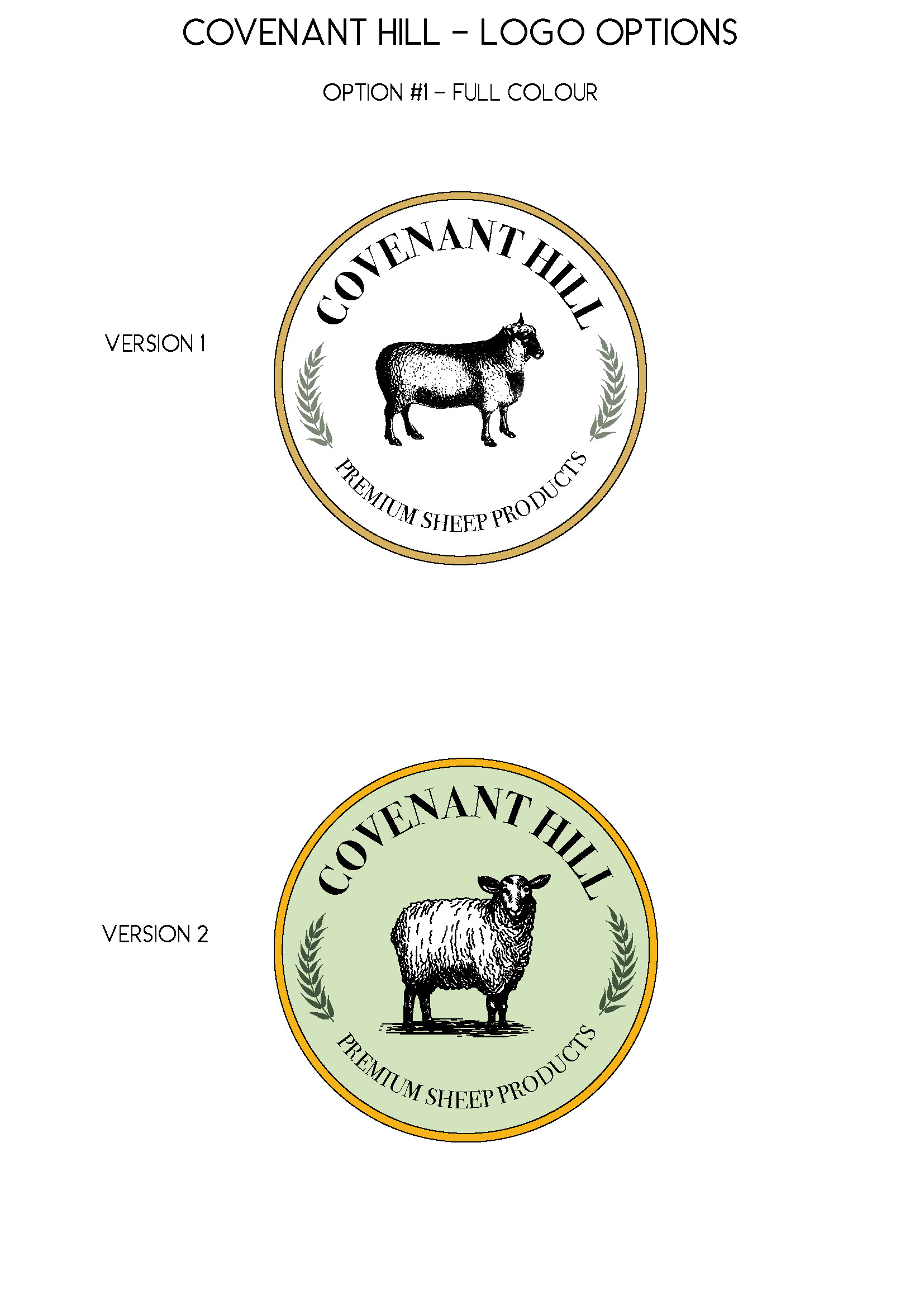 Client Chose Option #1 Full Colour, with Tweaks