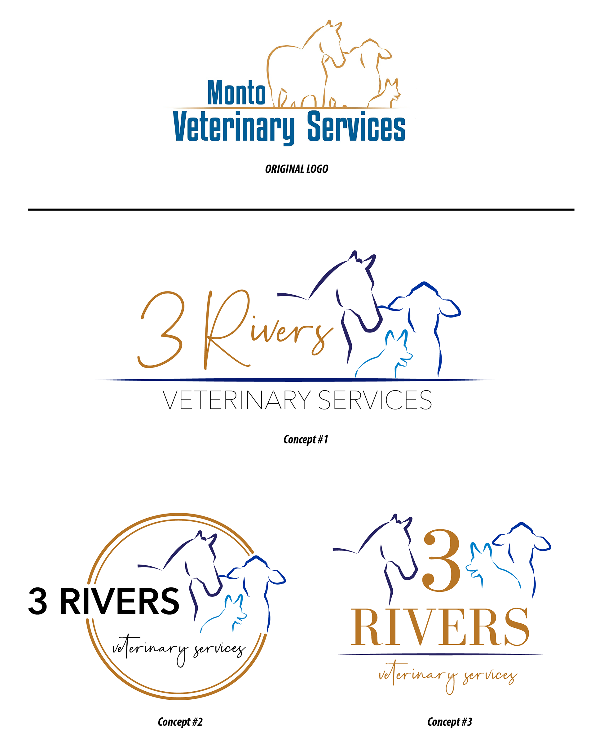 Original Logo - and my 3 original logo concepts 