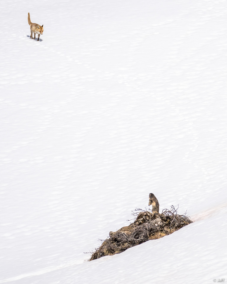 Rencontre