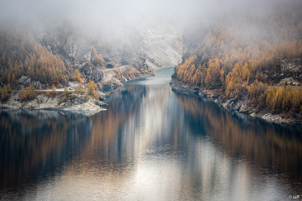 Chevril d'automne