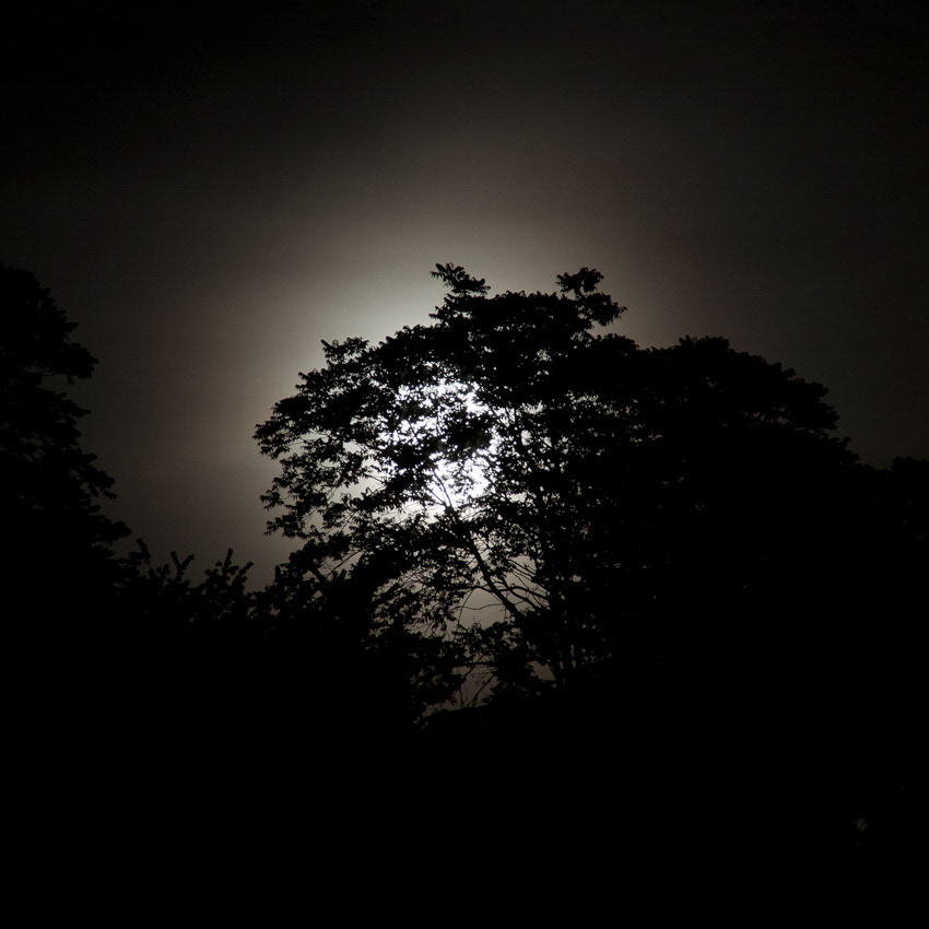 Le silence a rendez-vous avec la lune.