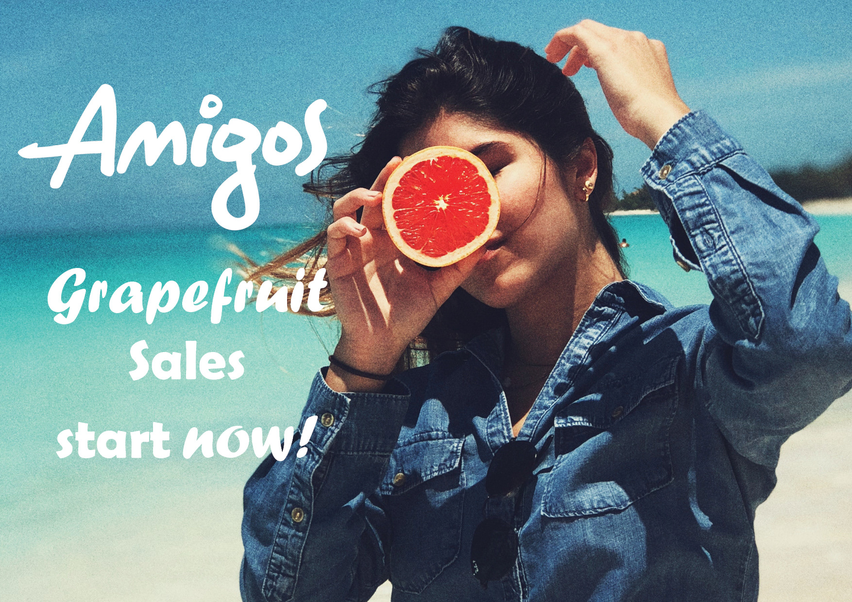 Grapefruit Fundraiser Digital and Print Ad Design