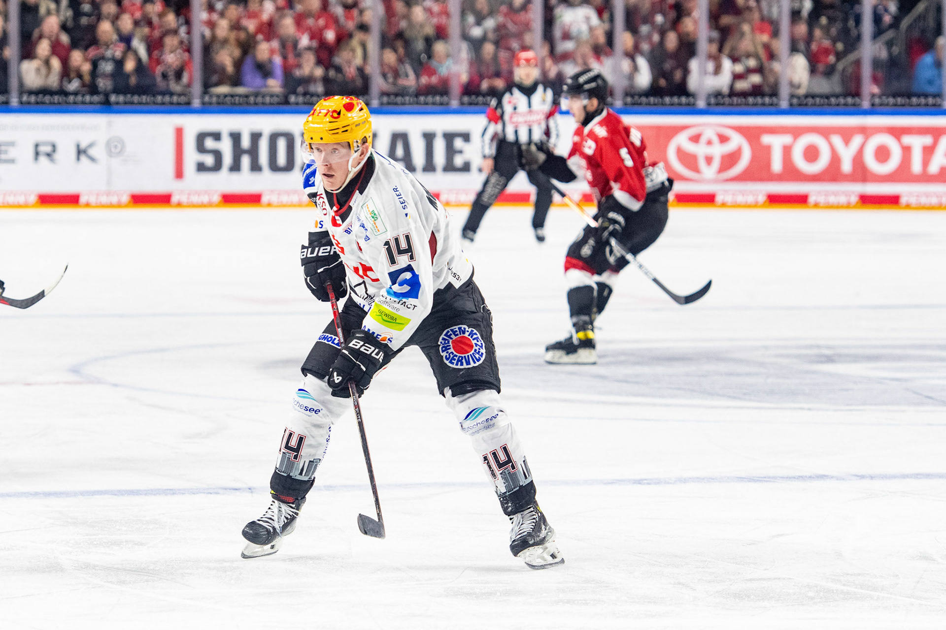 Ross Mauermann; DEL Kölner Haie - Fishtown Pinguins Bremerhaven, 30.01.2024