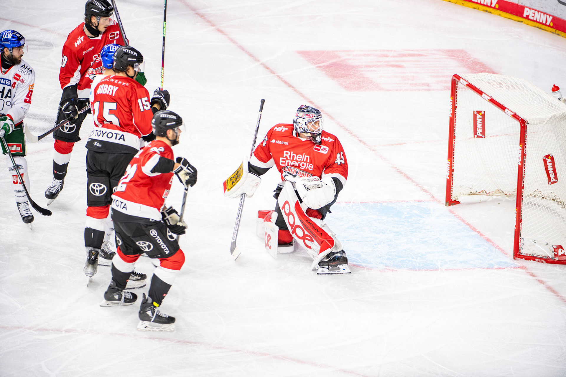 Koelner Haie; DEL Kölner Haie - Augsburger Panther, 19.11.2023