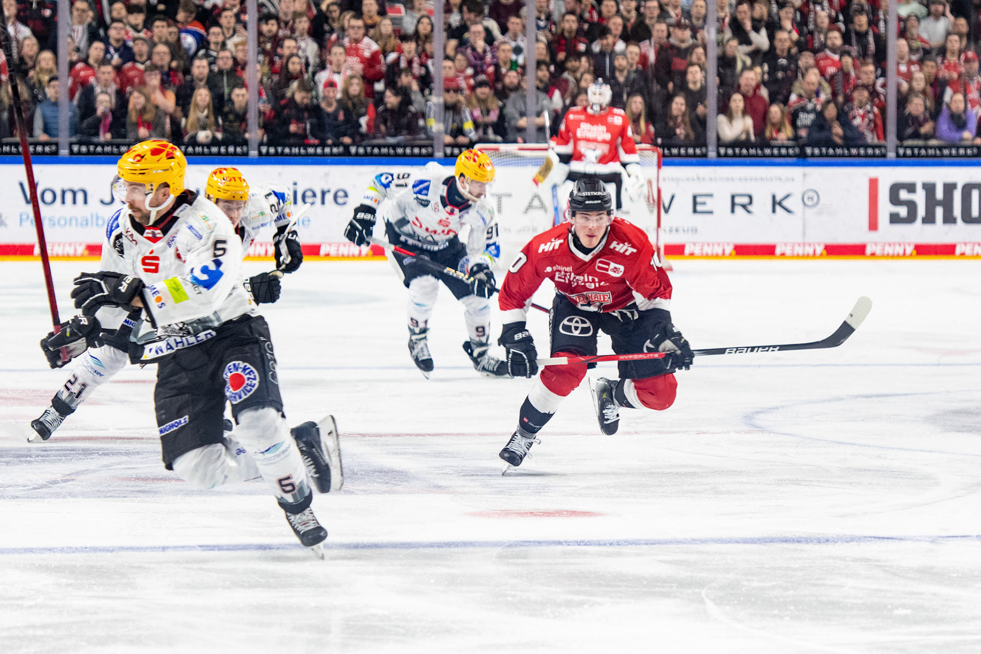 Justin Schuetz, Anders Groenlund; DEL Kölner Haie - Fishtown Pinguins Bremerhaven, 30.01.2024
