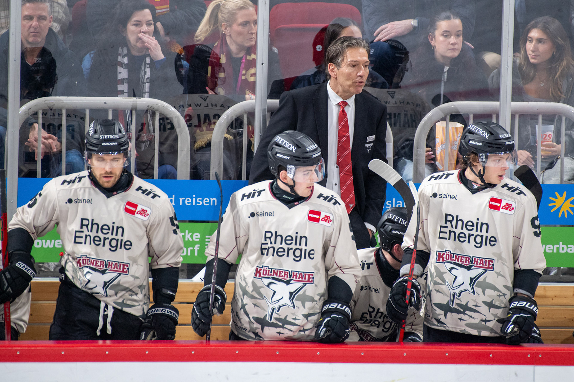 Uwe Krupp, Carter Proft, Robin van Calster, Hakon Hänelt; DEL Düsseldorfer EG - Kölner Haie, 25.02.2024