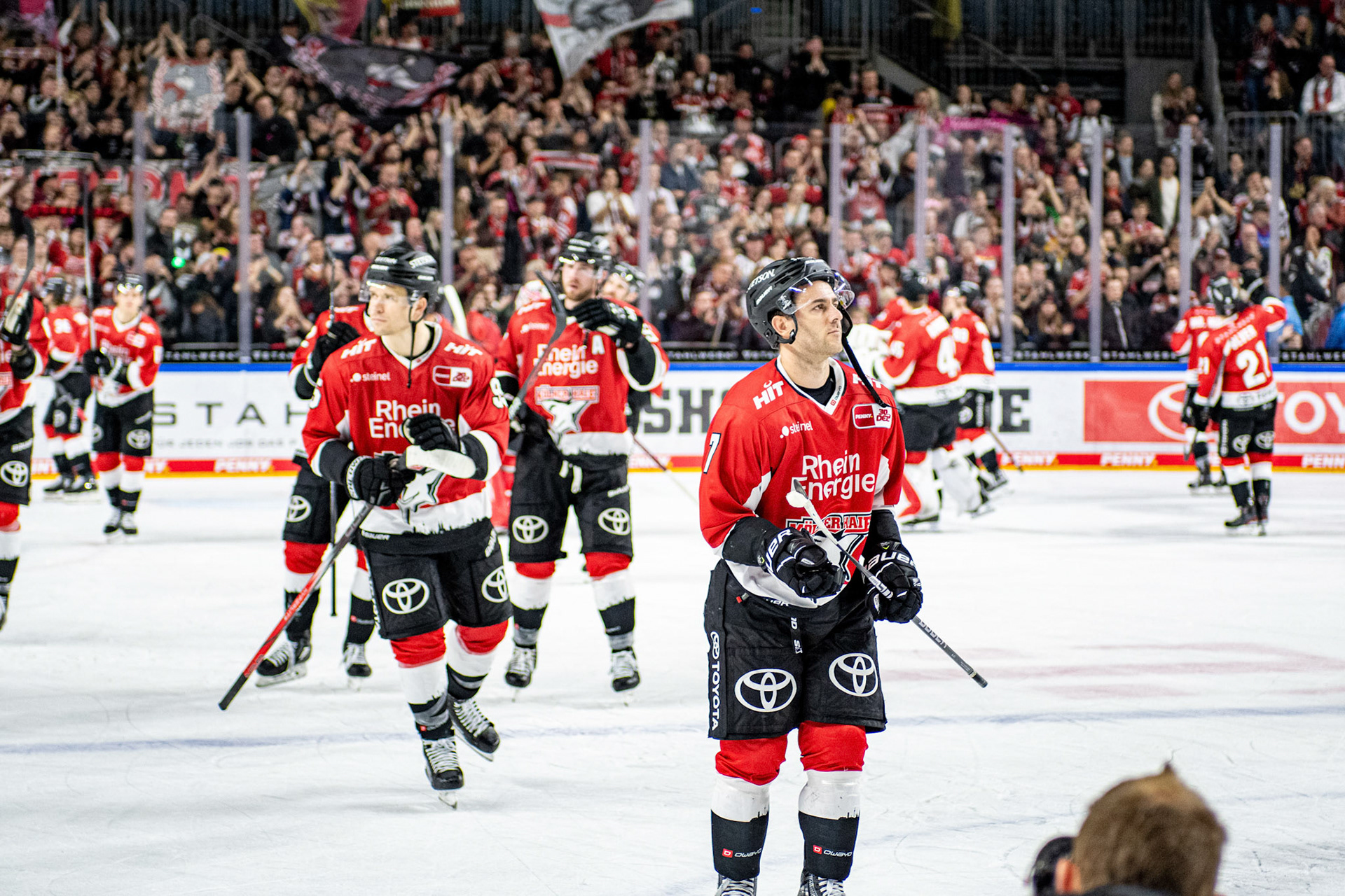 Koelner Haie; DEL Kölner Haie - EHC Red Bull München, 27.10.2023