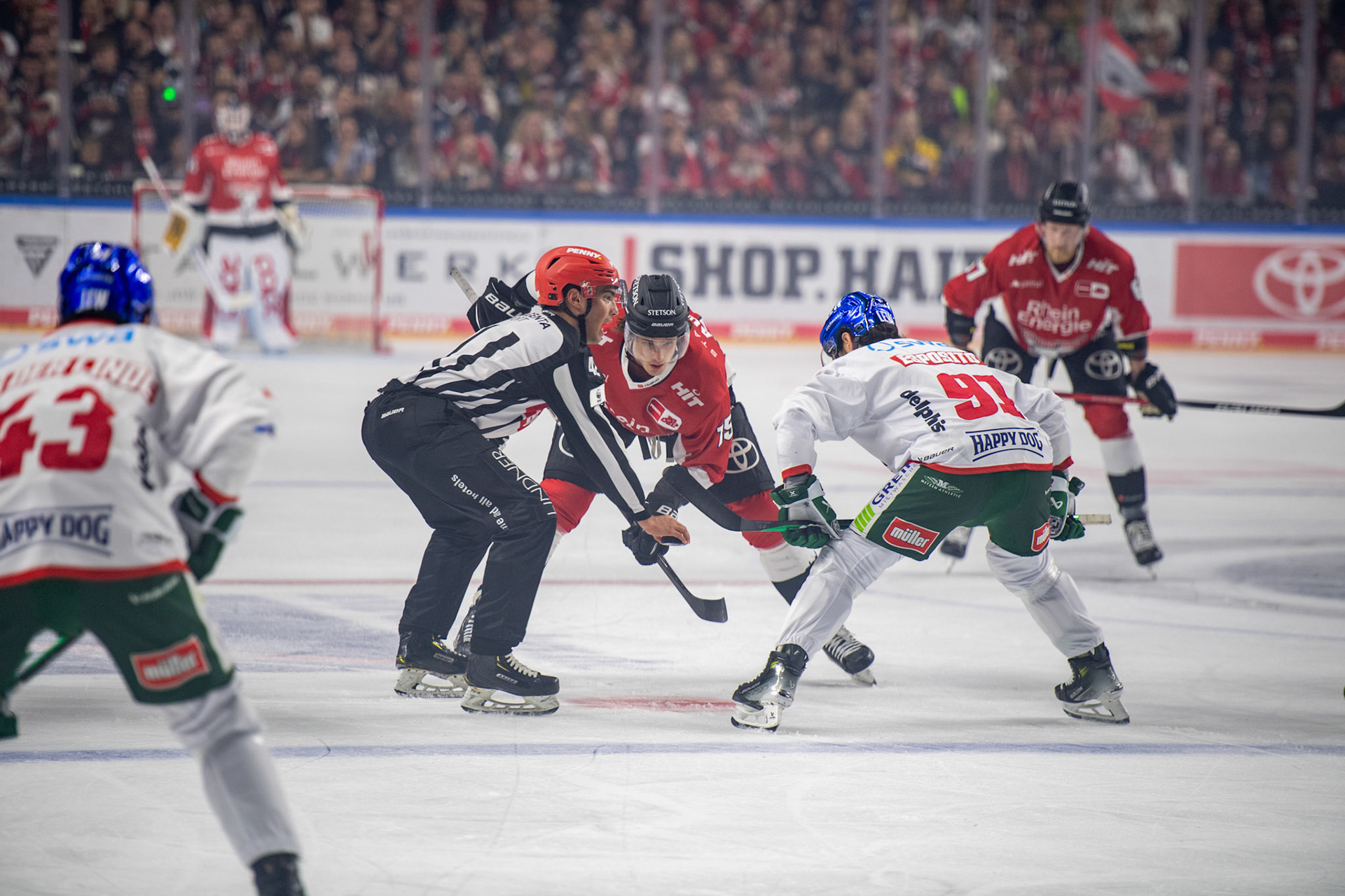 Louis Marc Aubry; DEL Kölner Haie - Augsburger Panther, 03.10.2023