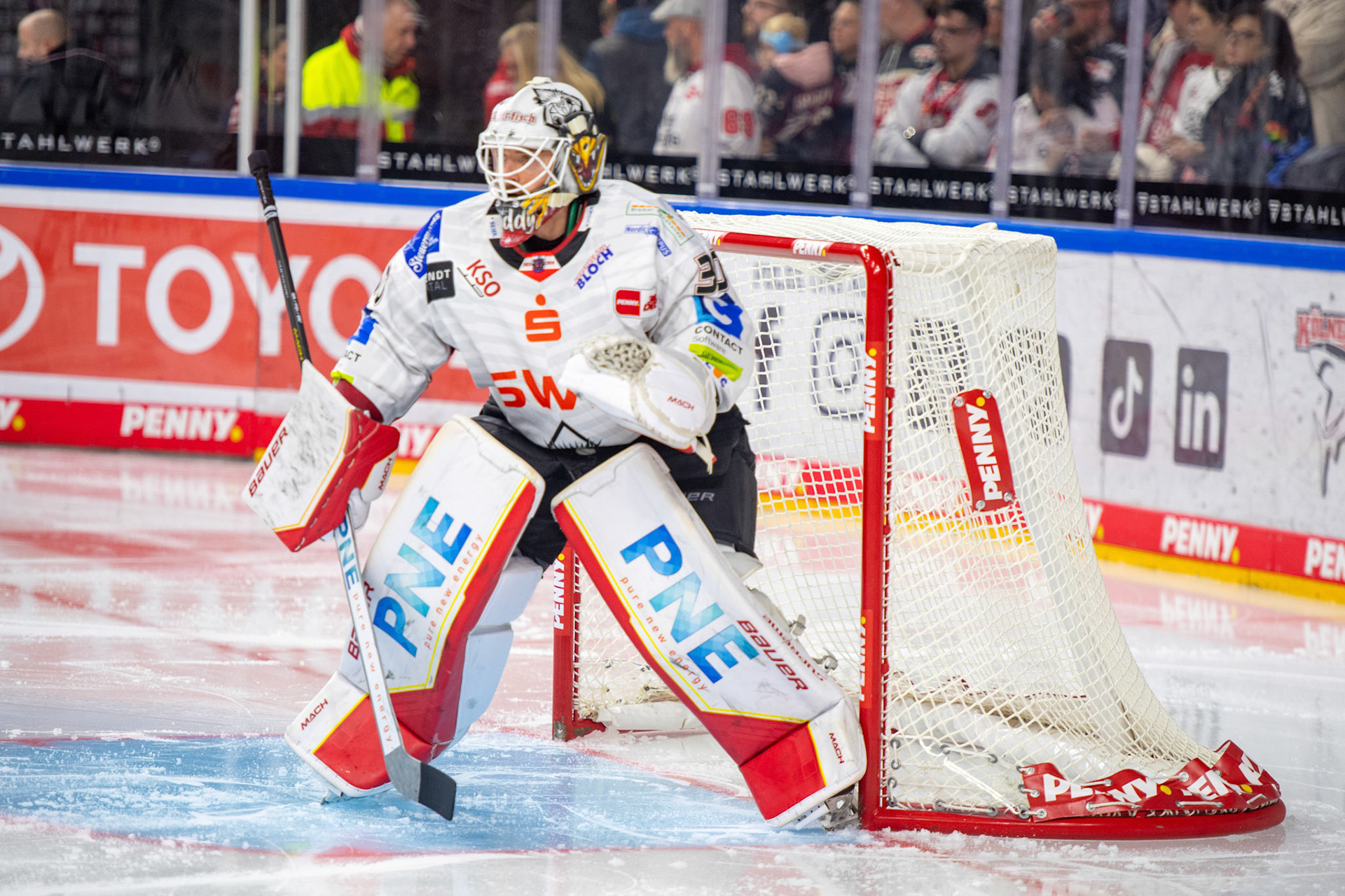 Kristers Gudlevskis; DEL Kölner Haie - Bremerhaven Fischtown Pinguins, 01.11.2023