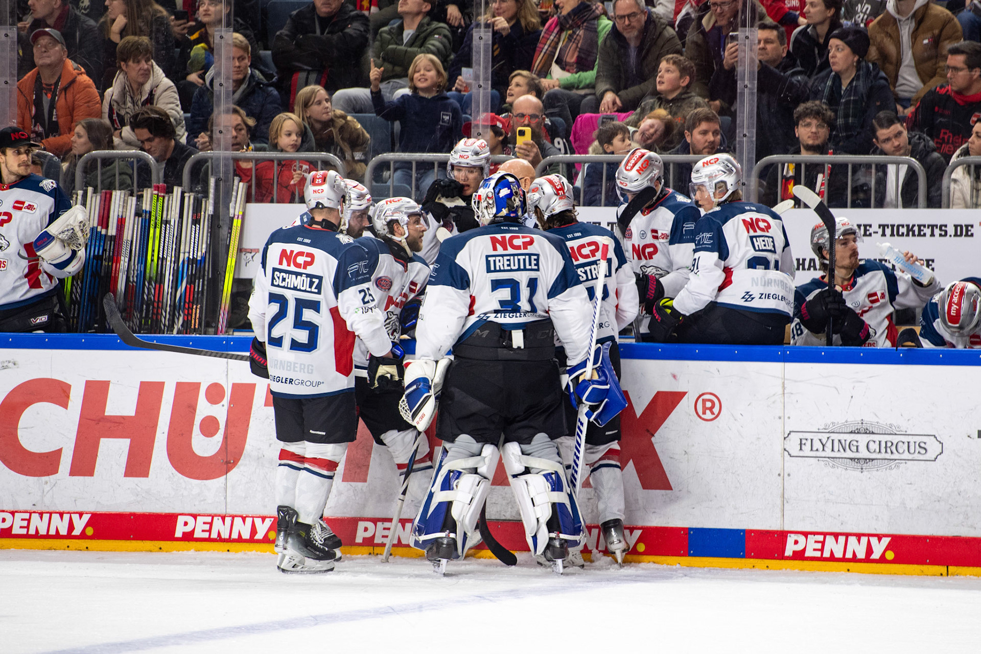 Nürnberg Ice Tigers; DEL Kölner Haie - Nürnberg Ice Tigers, 17.12.2023