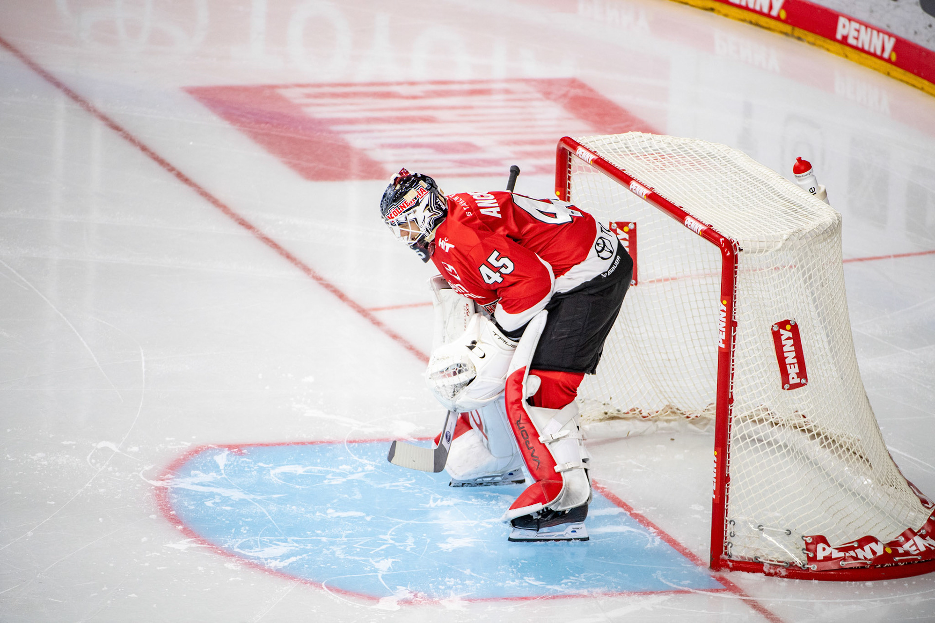 Tobias Ancicka; DEL Kölner Haie - Augsburger Panther, 19.11.2023