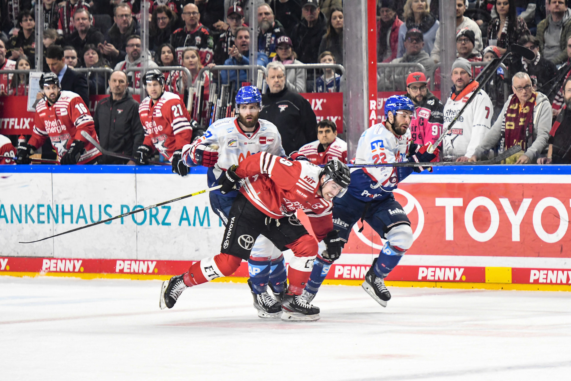 Maximilian Kammerer; DEL Kölner Haie - Adler Mannheim, 17.03.2023