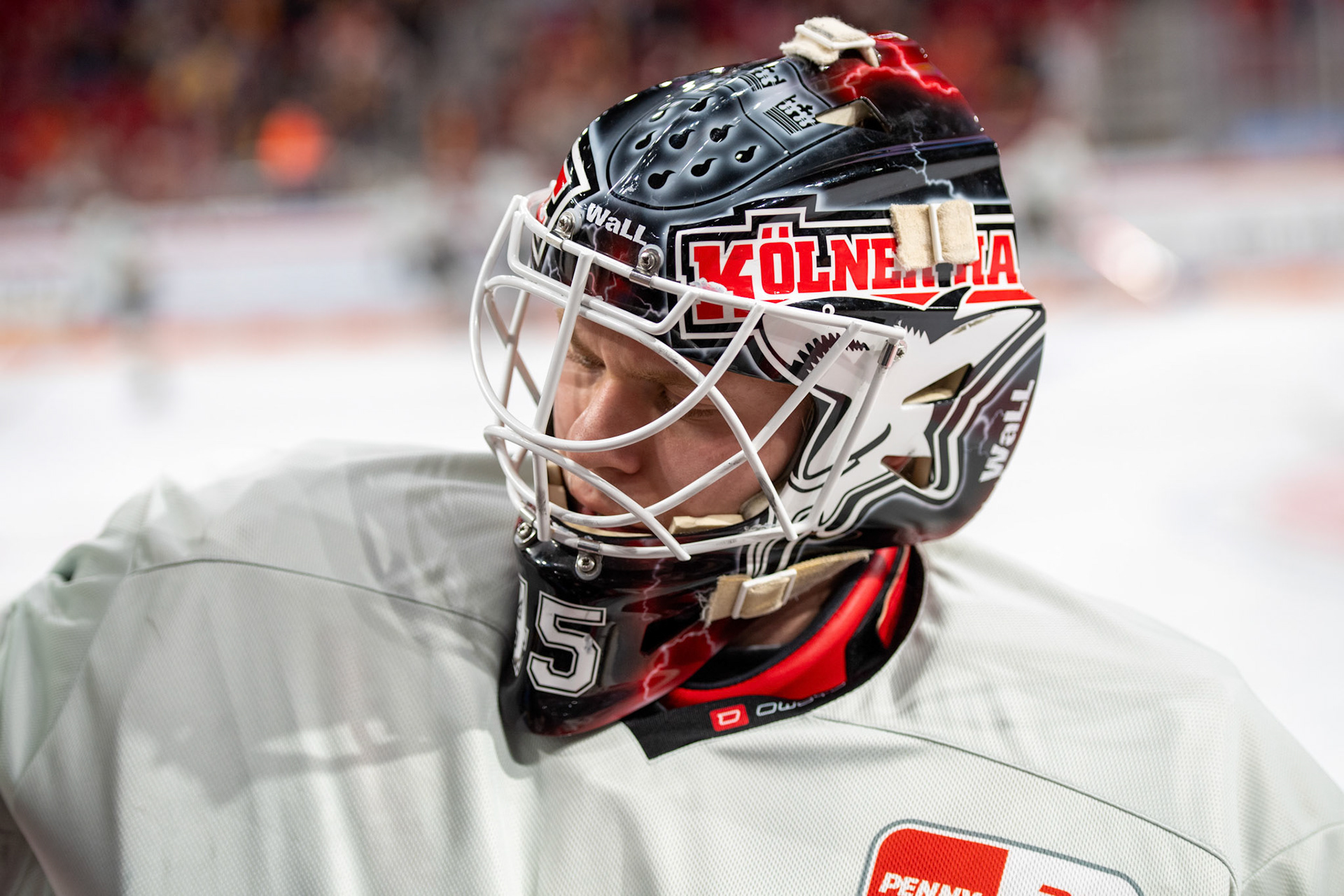 Tobias Ancicka; DEL Düsseldorfer EG - Kölner Haie, 25.02.2024