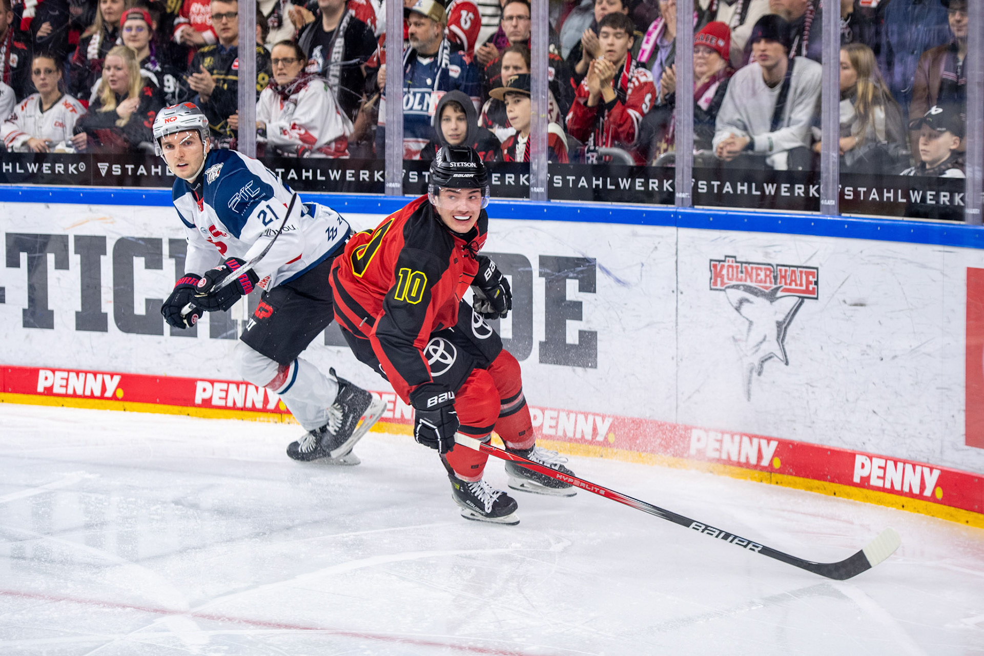 Justin Schuetz im Zweikampf mit Max Kislinger; DEL Kölner Haie - Nürnberg Ice Tigers, 17.12.2023